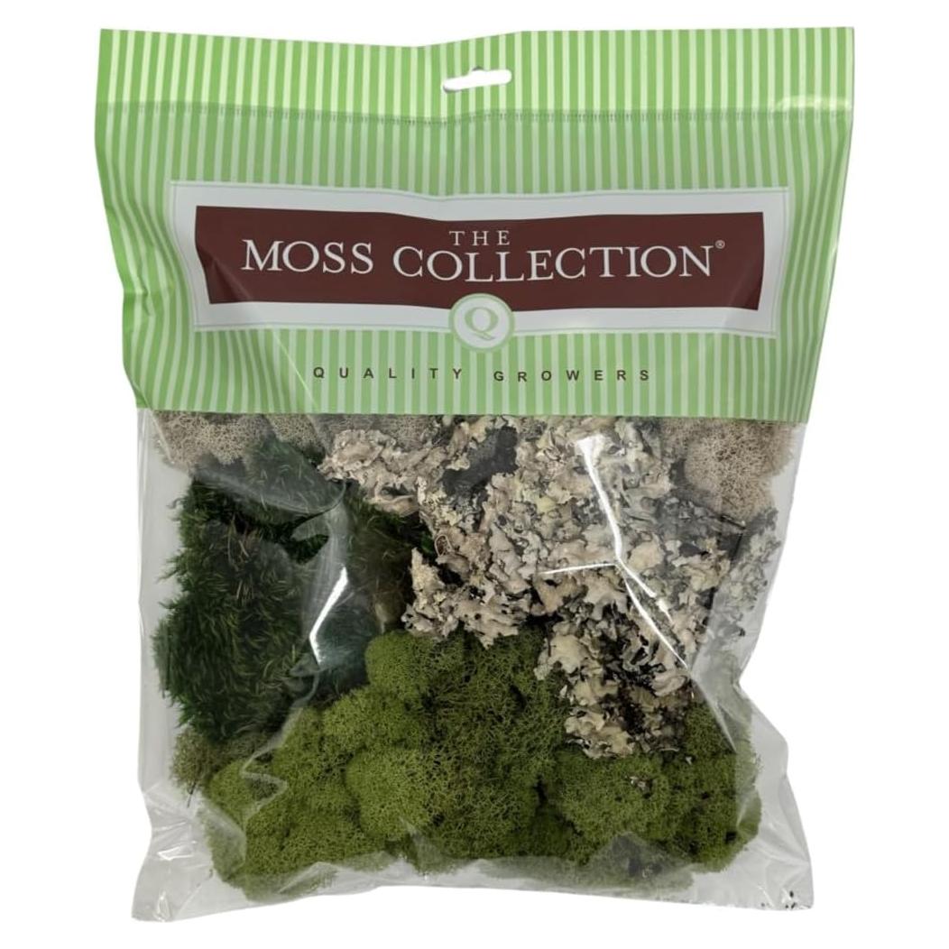 Paquete de Variedad de Musgo Quality Growers - Natural y Verde