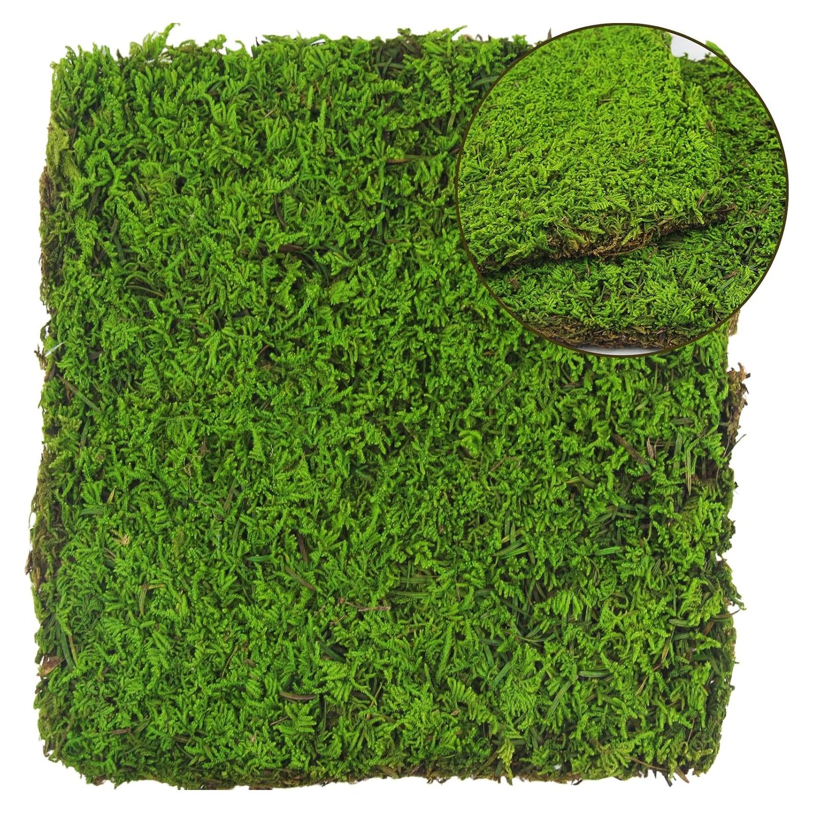 Musgo Conservado Verde Claro 2 Pcs 0.19 m² para Decoración