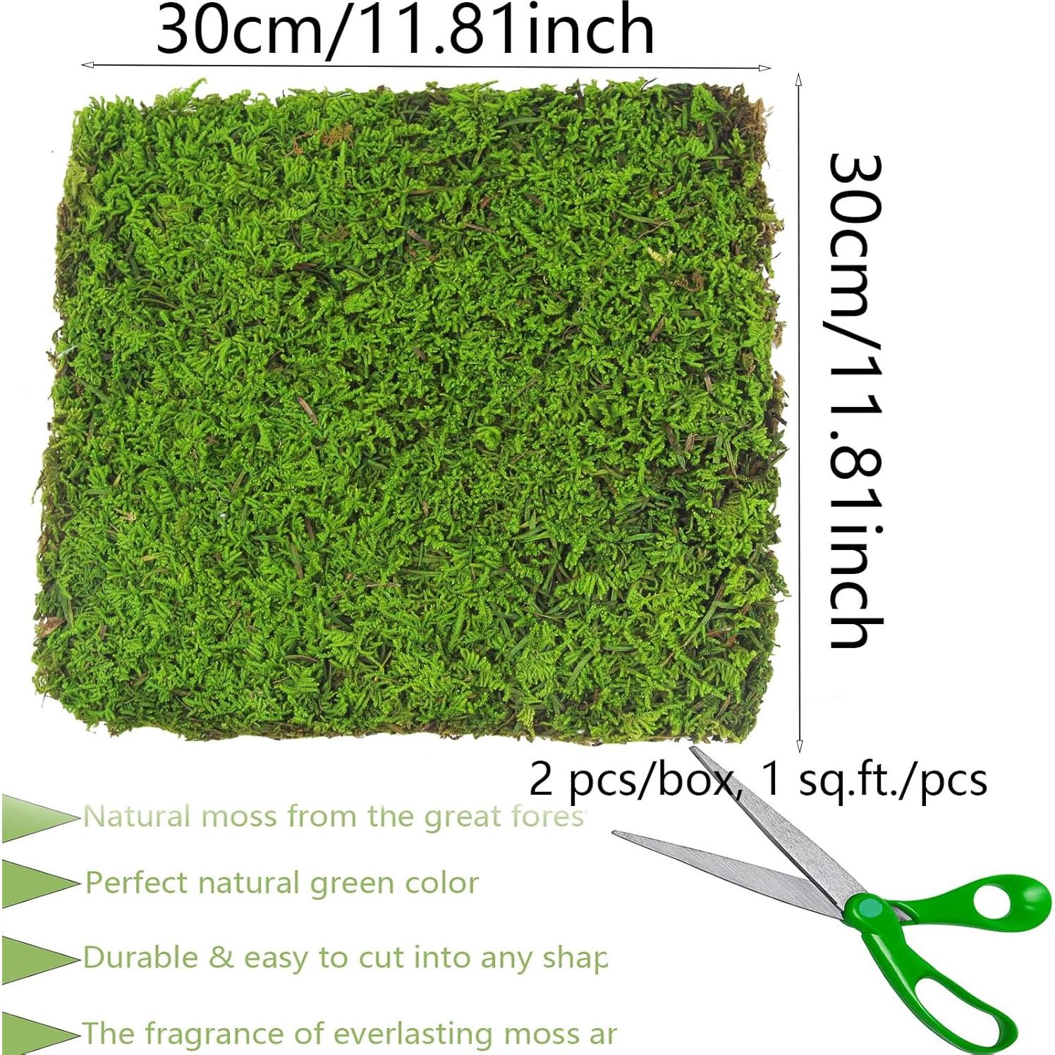 Musgo Conservado Verde Claro 2 Pcs 0.19 m² para Decoración