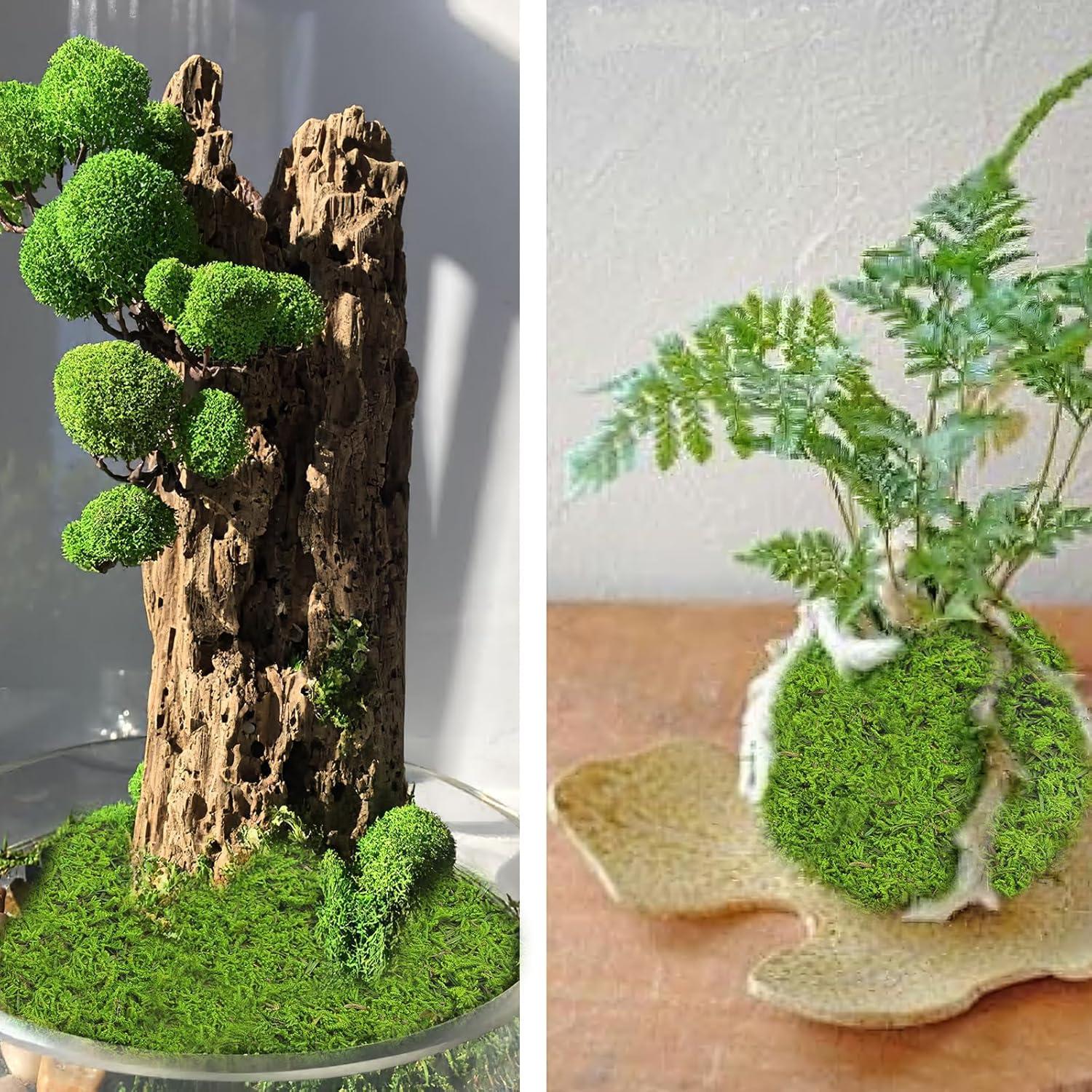 Musgo Conservado Verde Claro 2 Pcs 0.19 m² para Decoración