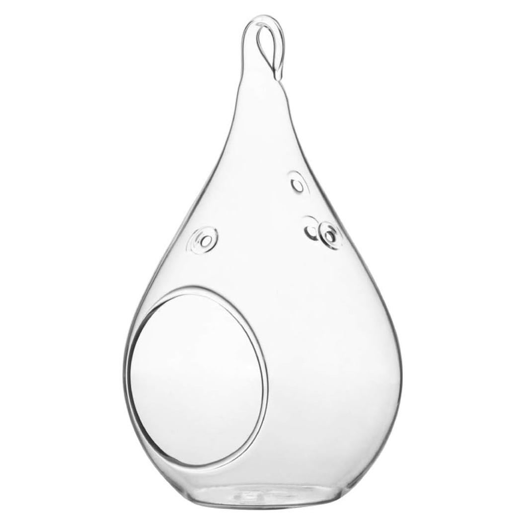 Terrario de Vidrio WGV en Forma de Gota 7.62x13.97 cm