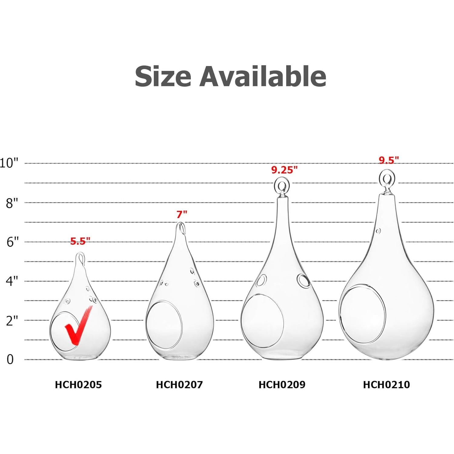 Terrario de Vidrio WGV en Forma de Gota 7.62x13.97 cm