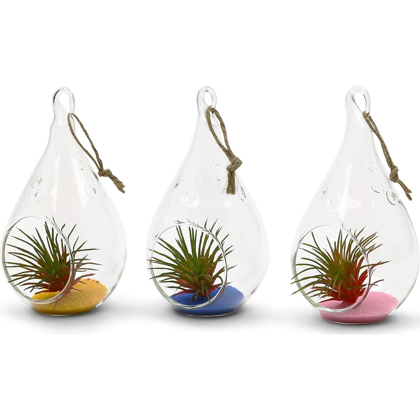 Terrario de Vidrio WGV en Forma de Gota 7.62x13.97 cm