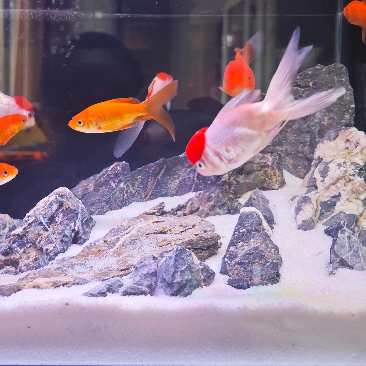 Arena de Acuario YISZM 0.91 kg Blanca para Acuascaping