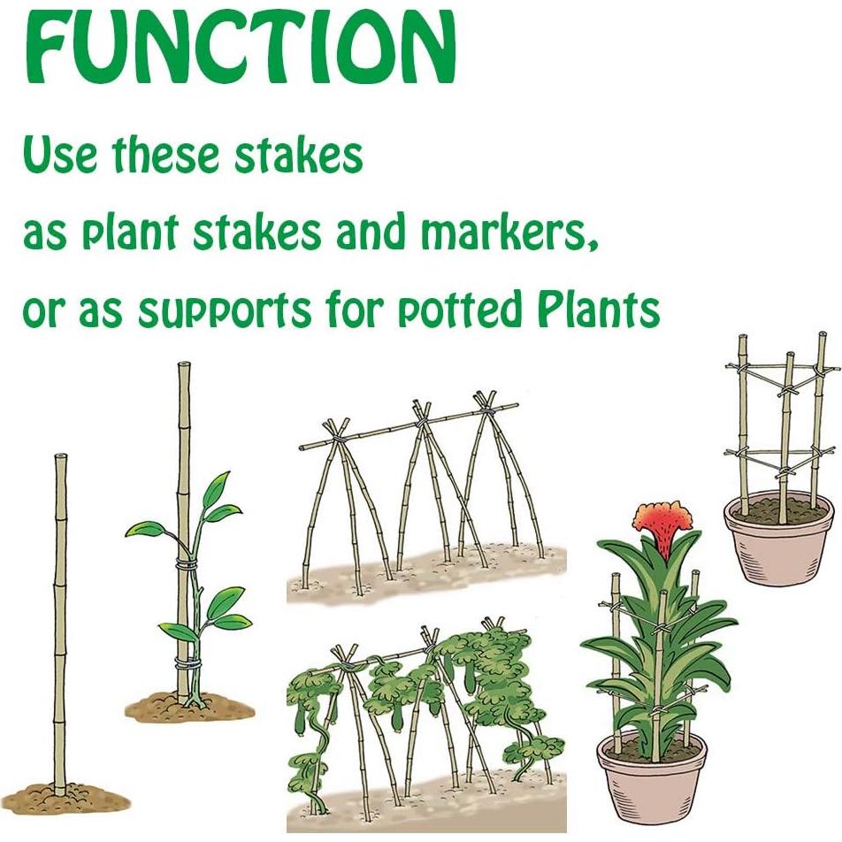 Estacas de Bambú Natural Mininfa 145 cm - Paquete de 20