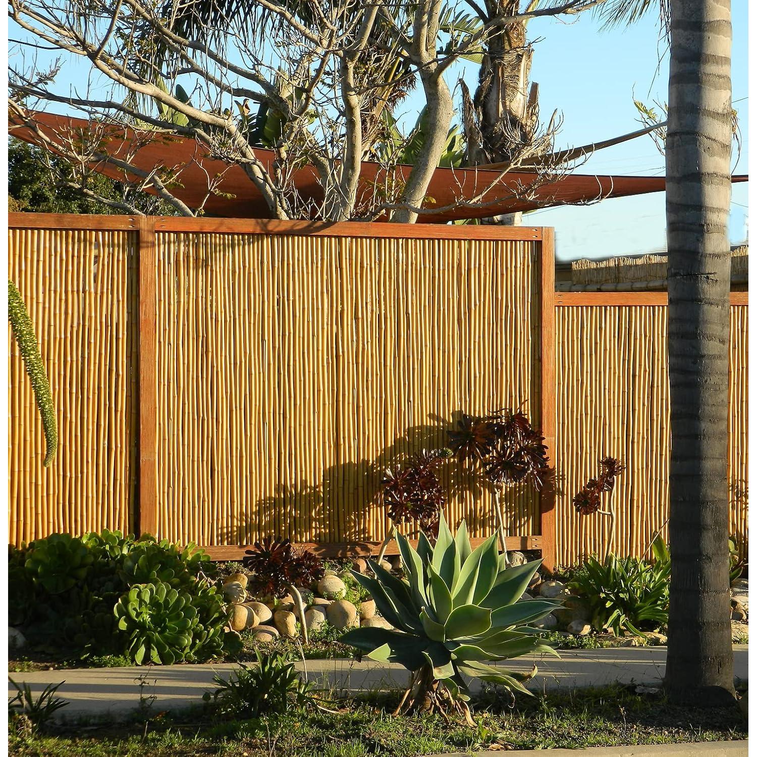 Panel de cerca enrollado de bambú natural Backyard X-Scapes 0.75 cm D x 91 cm H x 244 cm L