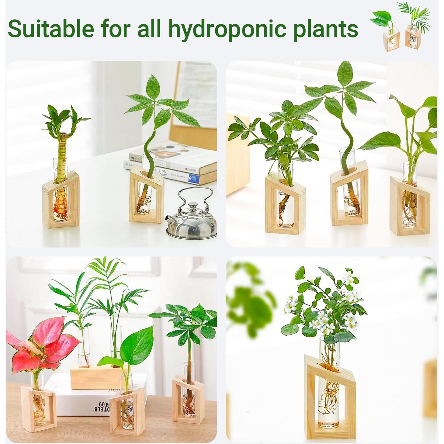 Estación de Propagación de Plantas Ivolador con Soporte de Madera