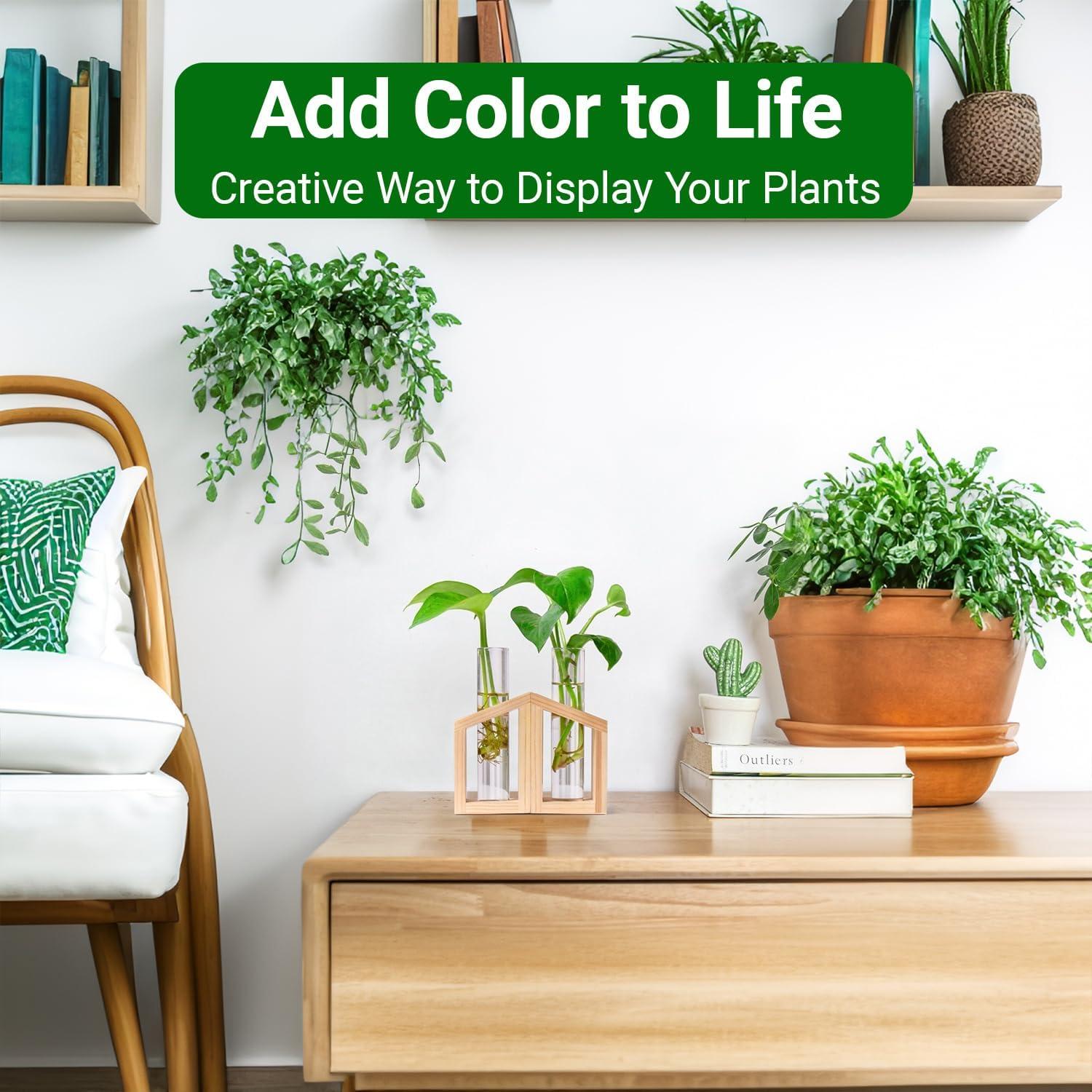 Estación de Propagación de Plantas Ivolador con Soporte de Madera