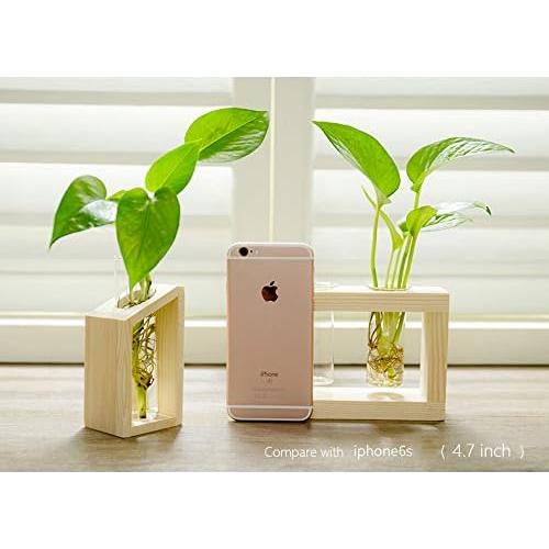 Estación de Propagación de Plantas Ivolador con Soporte de Madera