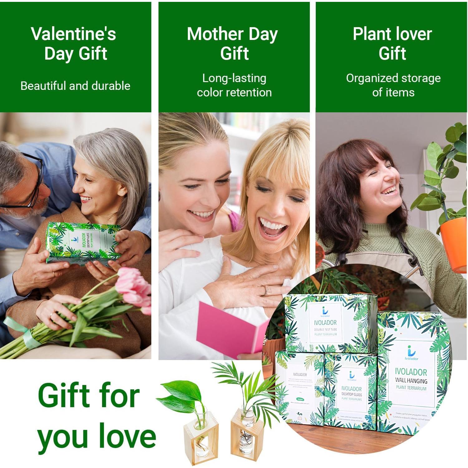 Estación de Propagación de Plantas Ivolador con Soporte de Madera