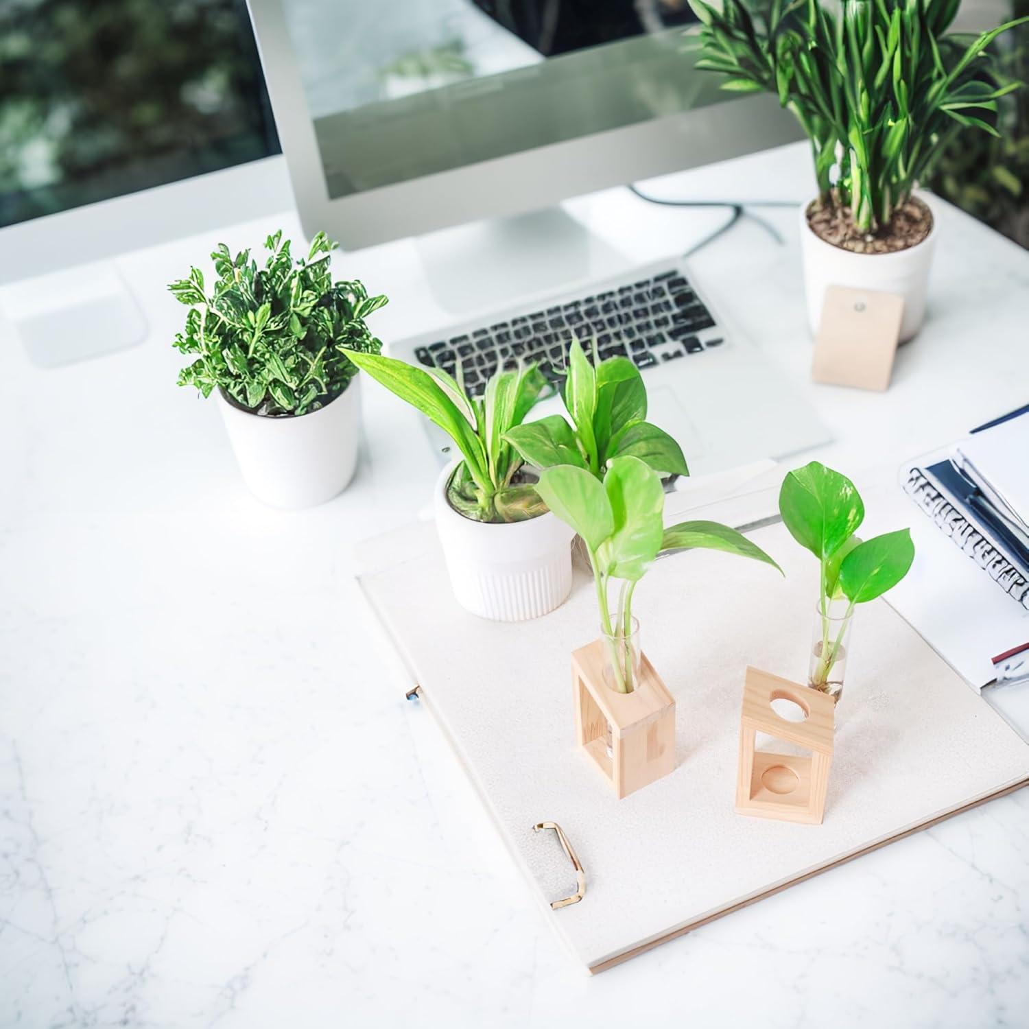 Estación de Propagación de Plantas Ivolador con Soporte de Madera