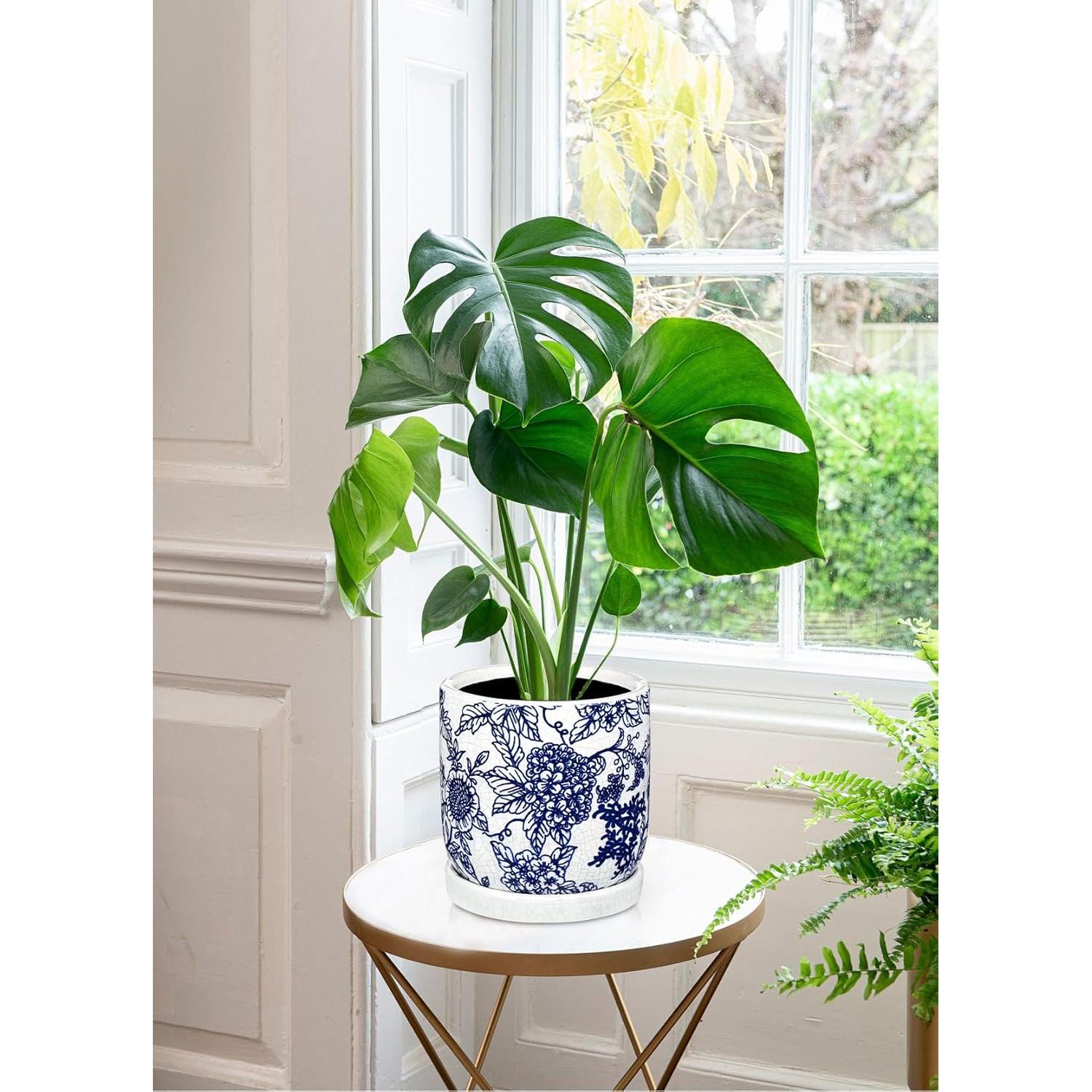 Maceta de Cerámica Vintage Villa Como 22.86 cm Azul y Blanca