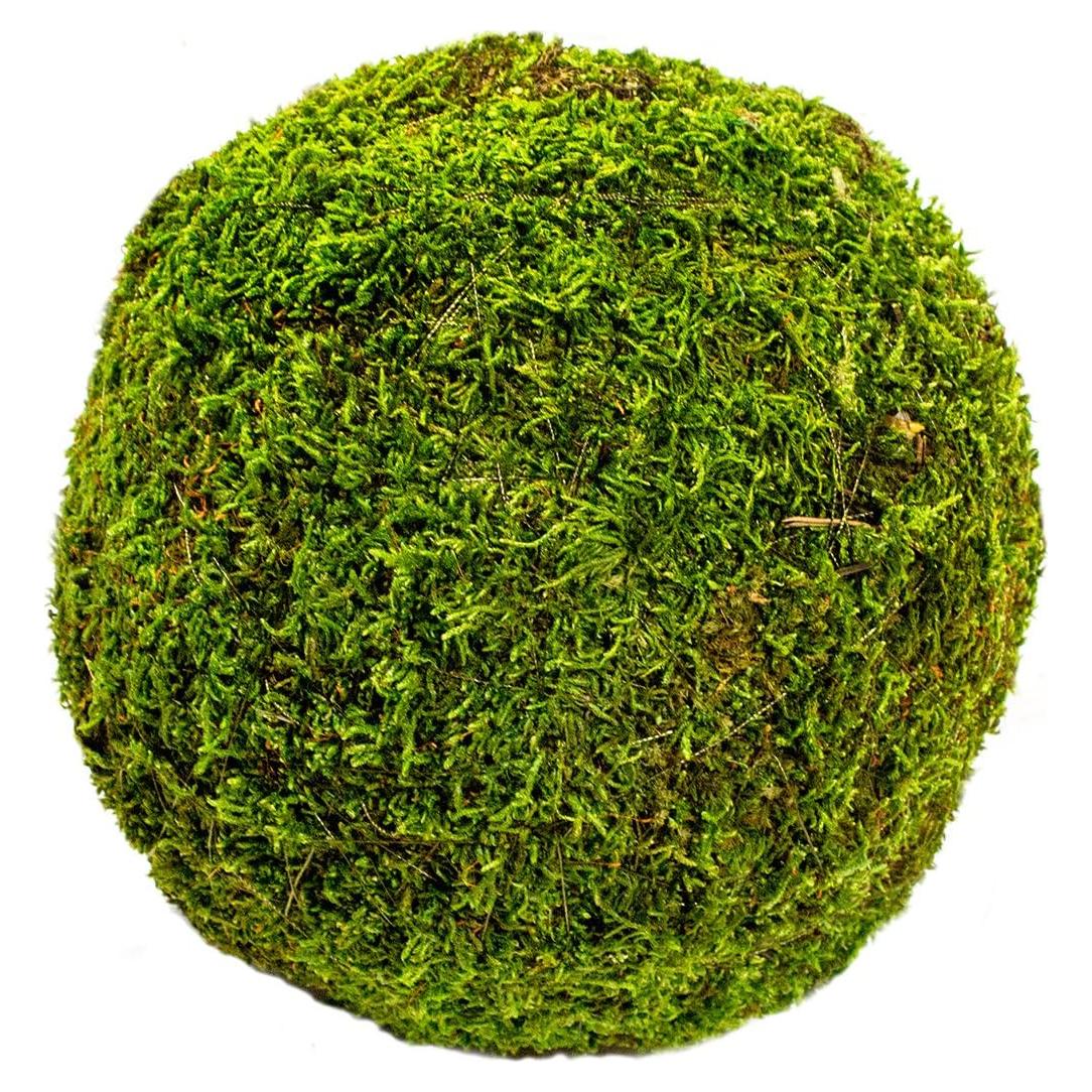 Bola de Musgo SuperMoss Verde Fresco 20.32 cm Decoración