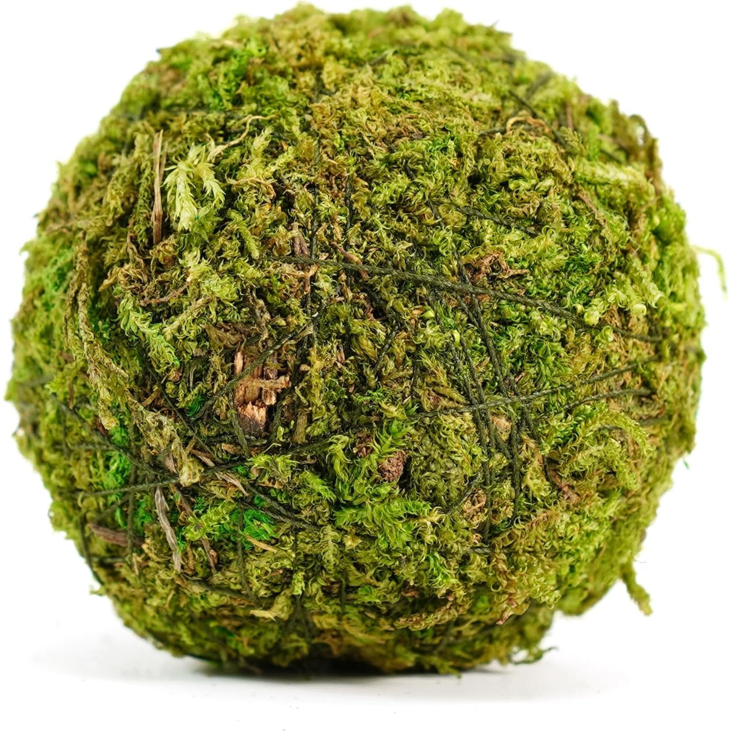 Conjunto de 18 Bolas de Musgo Decorativas BYHER - Verde