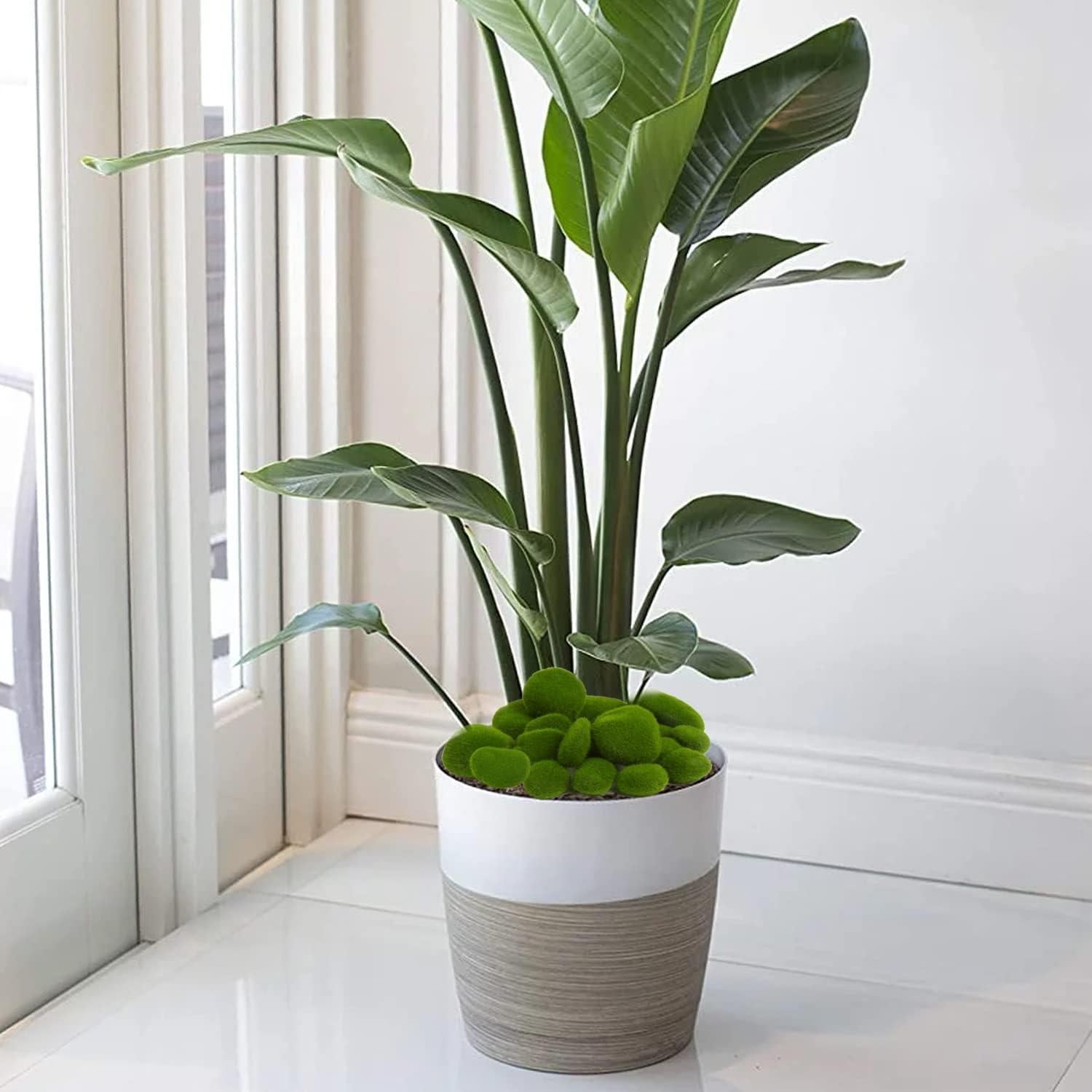 Rocas de Musgo Artificial CCINEE 34pcs 5 Tamaños Decoración