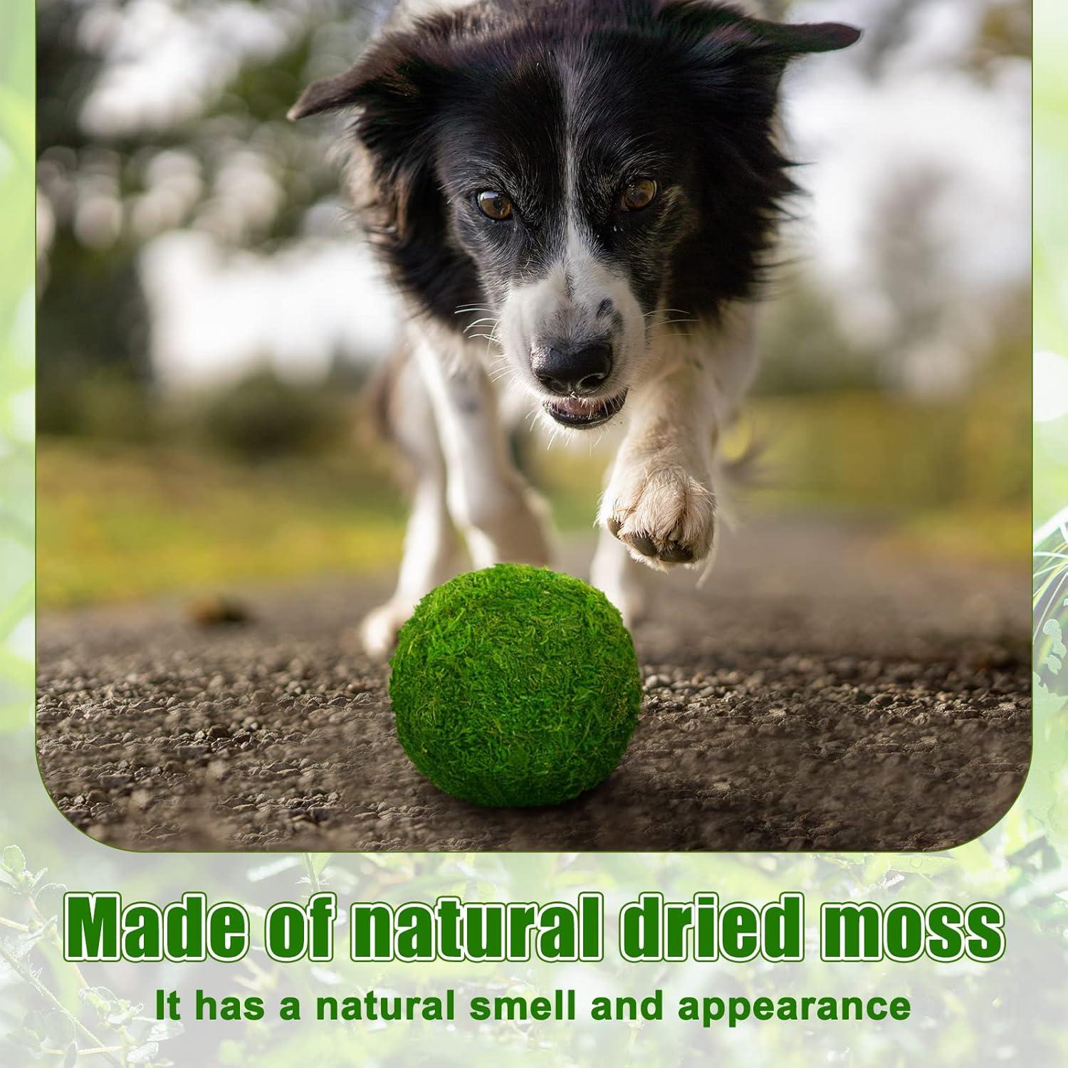 Bolas de Musgo Decorativas Amyhill 38 Pcs Verde Natural