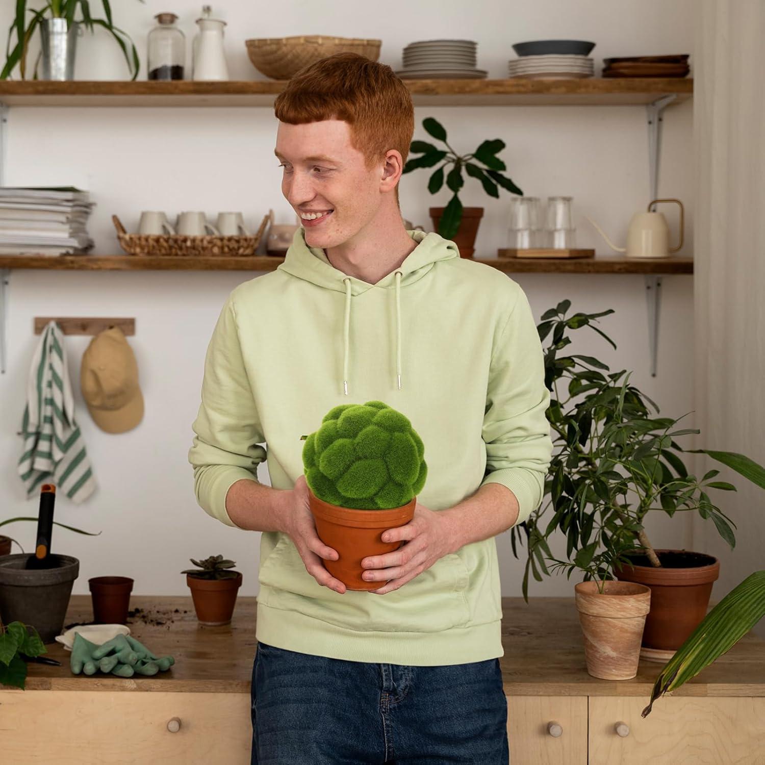 Bolas Decorativas de Musgo DOITOOL - 2 Piezas 10cm y 12cm