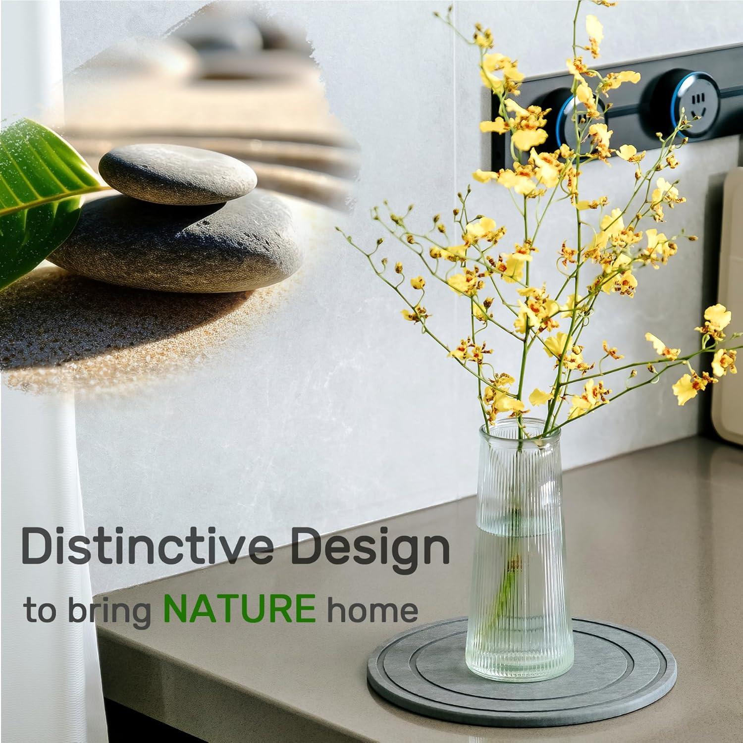 Plato de Tierra Diatomácea Relime 20cm para Plantas Interior