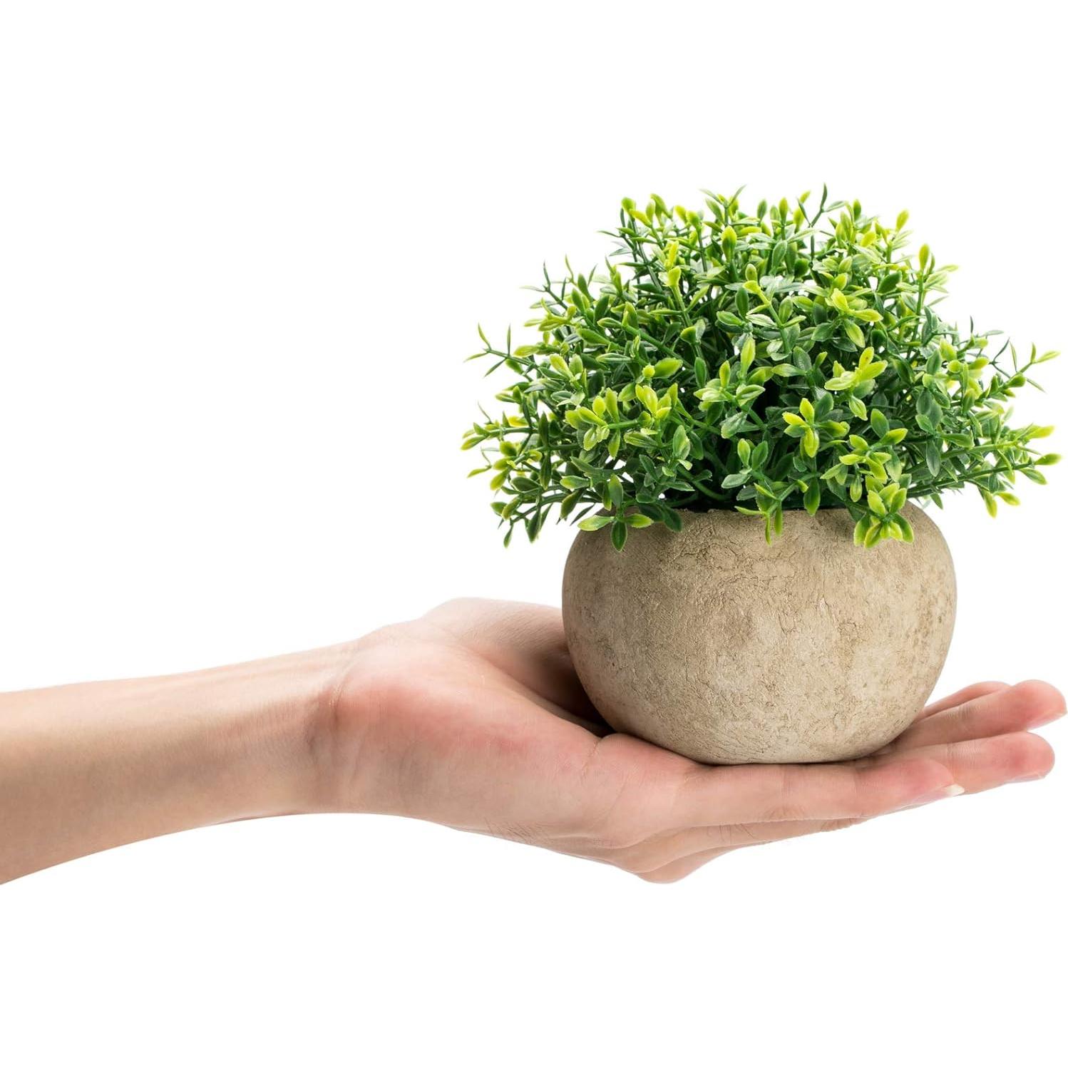 Set de 2 Plantas Artificiales Topiarias Velener - Verde 14.2x11.2 cm