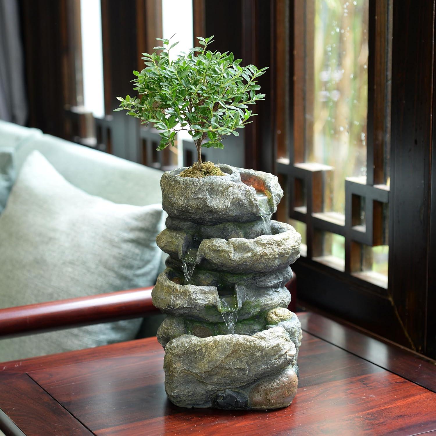 Fuente de Interior Kalona 22020 con Maceta y Sonido Relajante