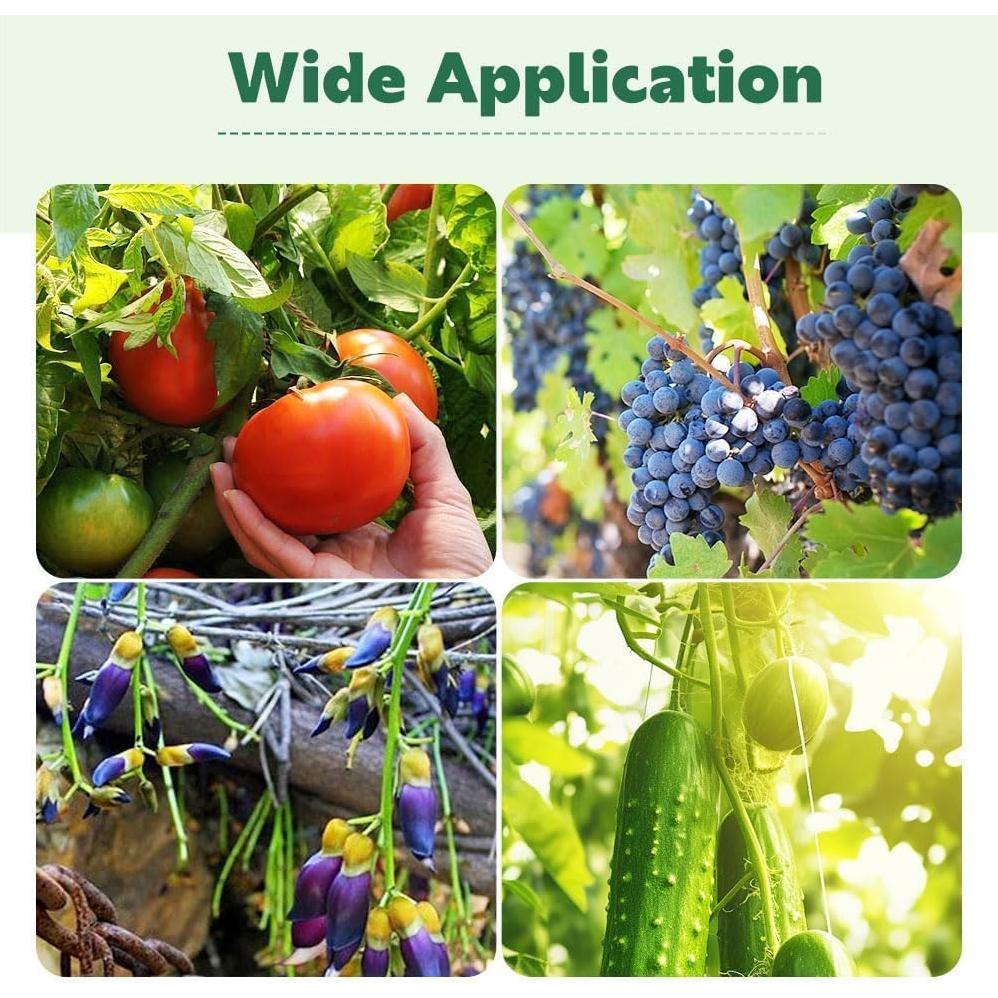 Secured Plastic Plant Clip, 2025 New Plant Support Clips Reusable Garden Clips, Garden Clips for Climbing Plants, Plastic Trellis Clips Tomato Grape Vine Vegetables Plant Fixing Clips (50, Green)