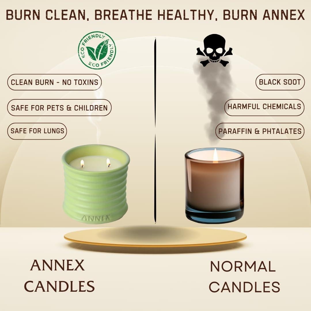 Vela Aromática de Soja Annex Melón y Menta 312g - Repelente