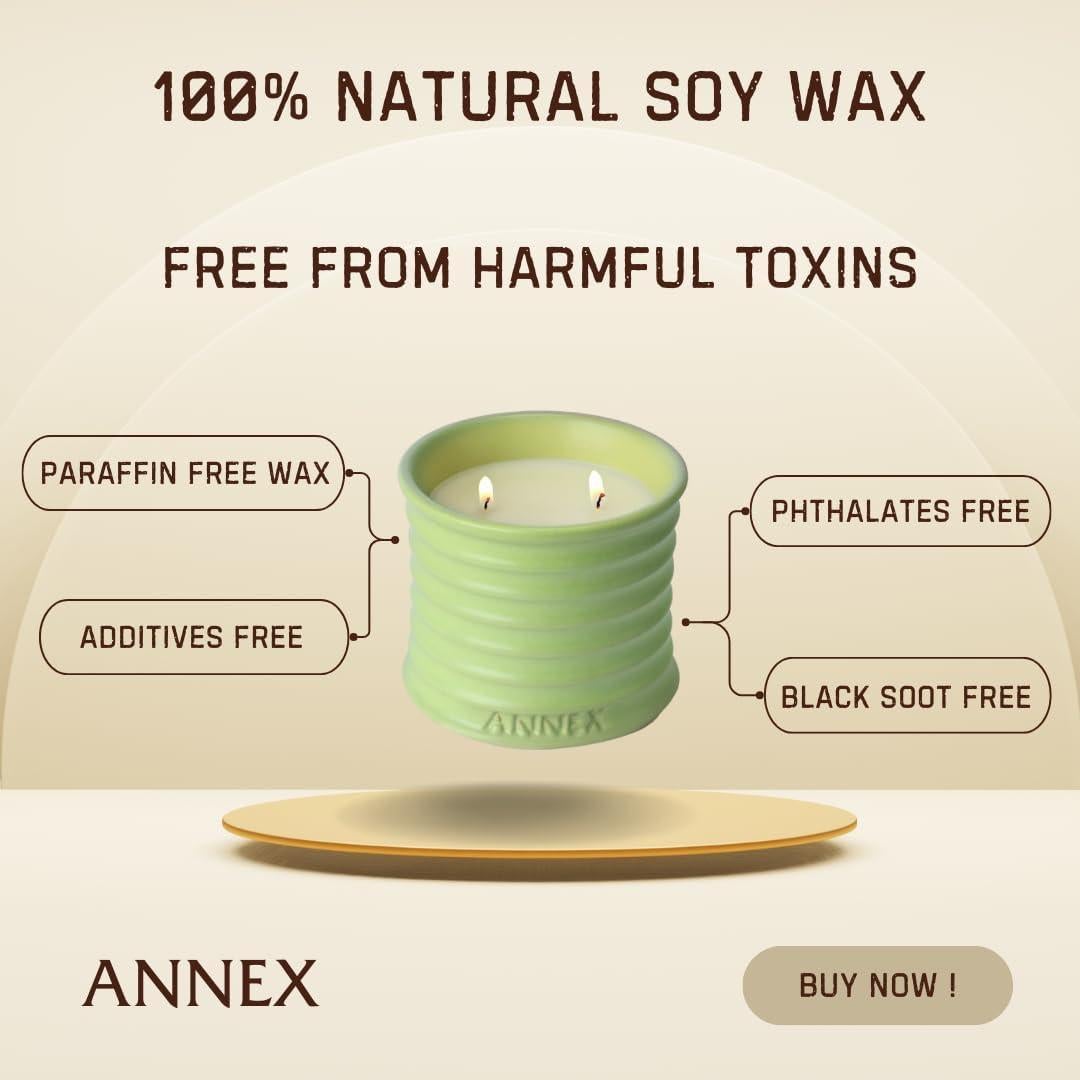 Vela Aromática de Soja Annex Melón y Menta 312g - Repelente