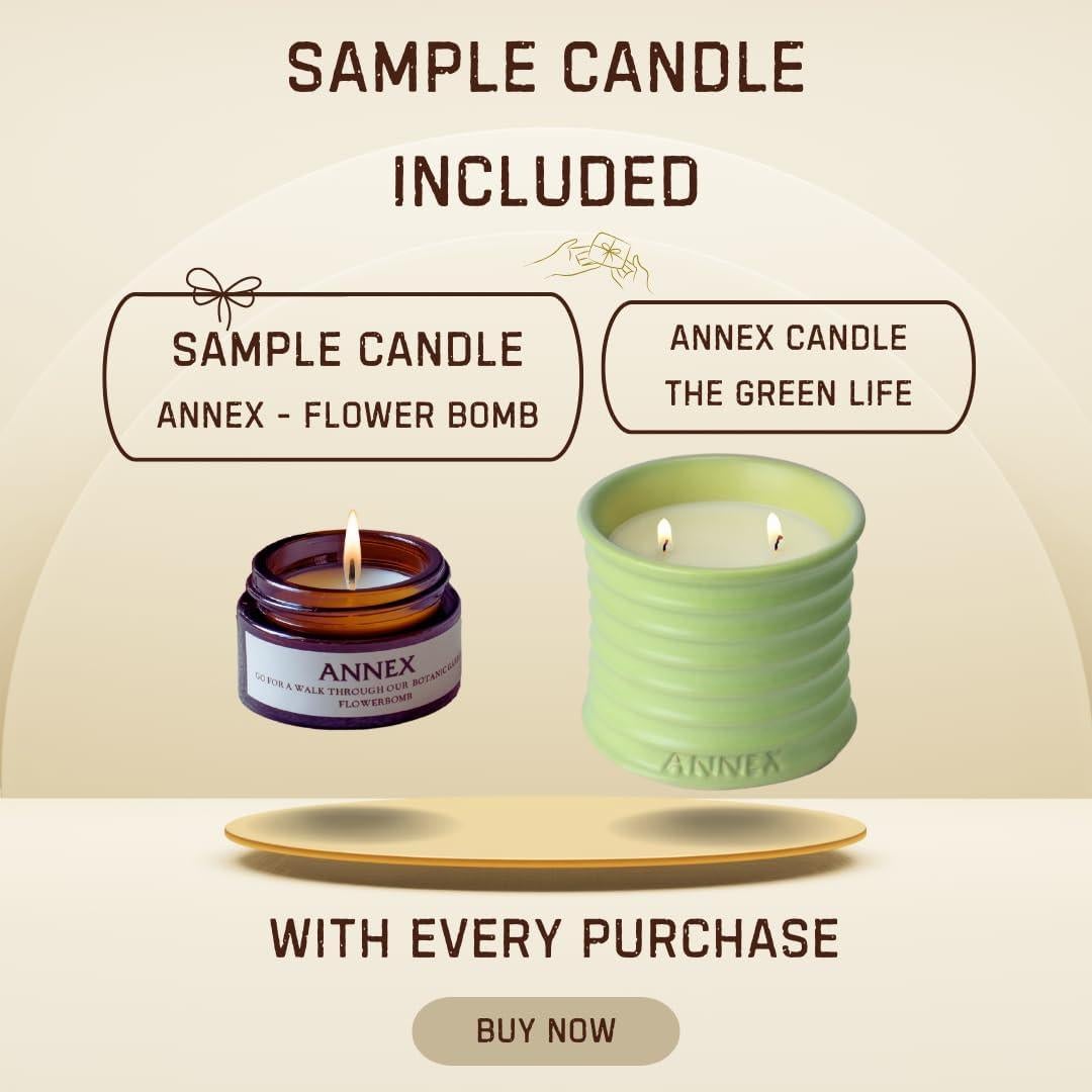 Vela Aromática de Soja Annex Melón y Menta 312g - Repelente