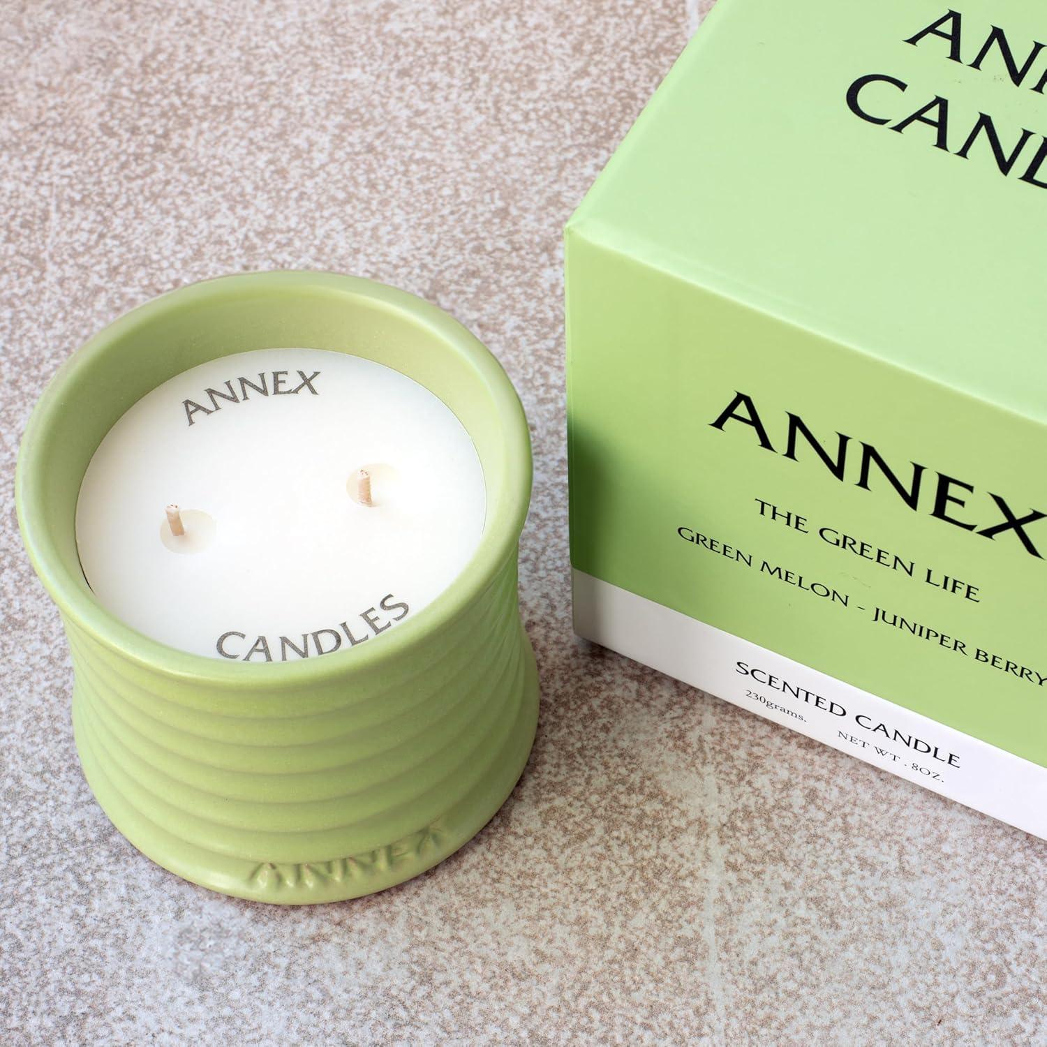 Vela Aromática de Soja Annex Melón y Menta 312g - Repelente