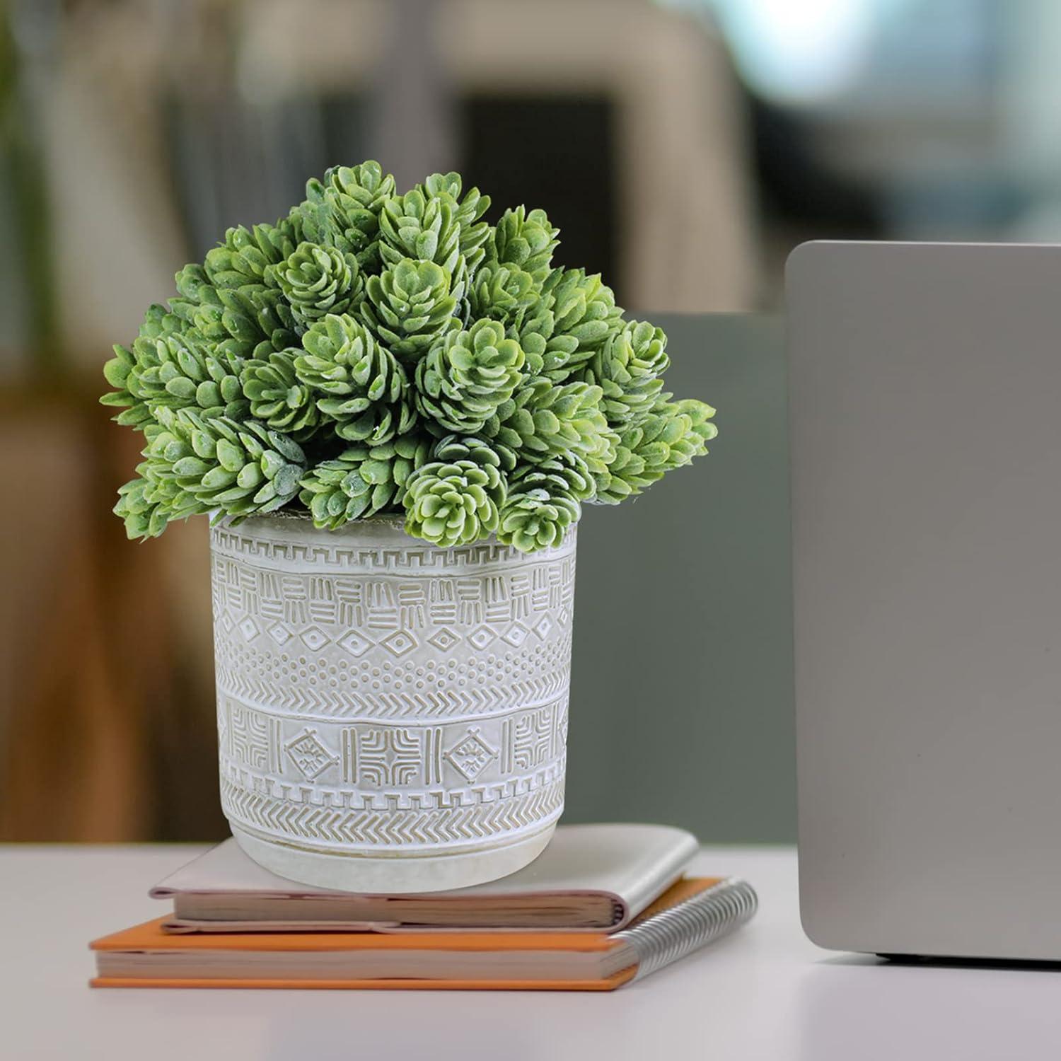 Juego de 3 Suculentas Artificiales Winlyn en Macetas de Concreto