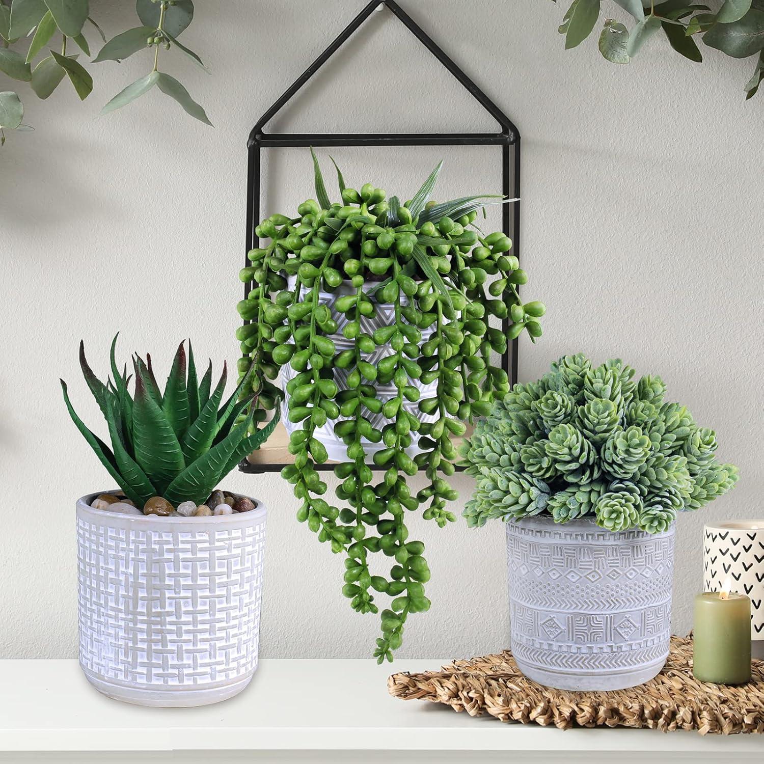 Juego de 3 Suculentas Artificiales Winlyn en Macetas de Concreto