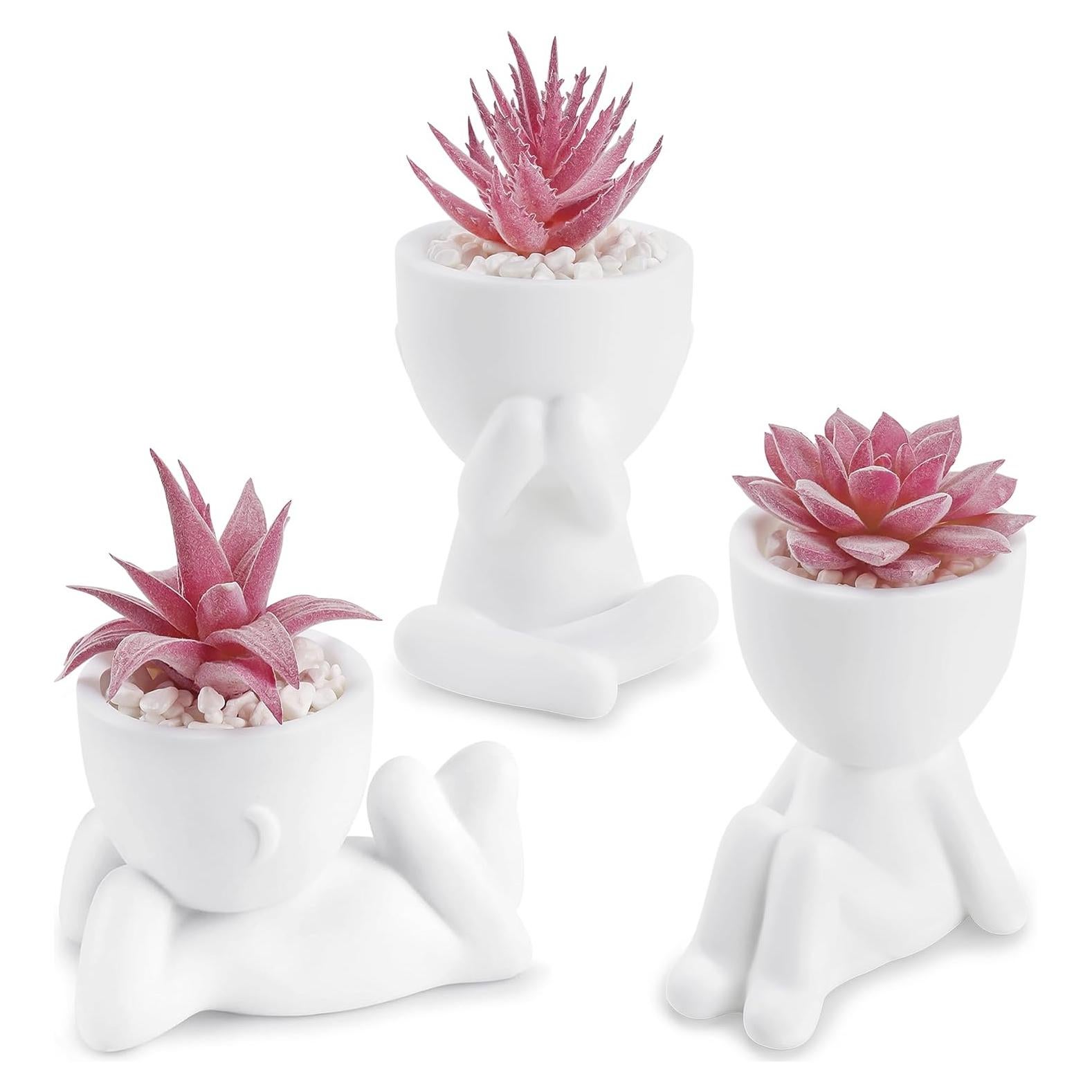 Plantas Suculentas Falsas Der Rose 3 Pcs Decoración Rosa