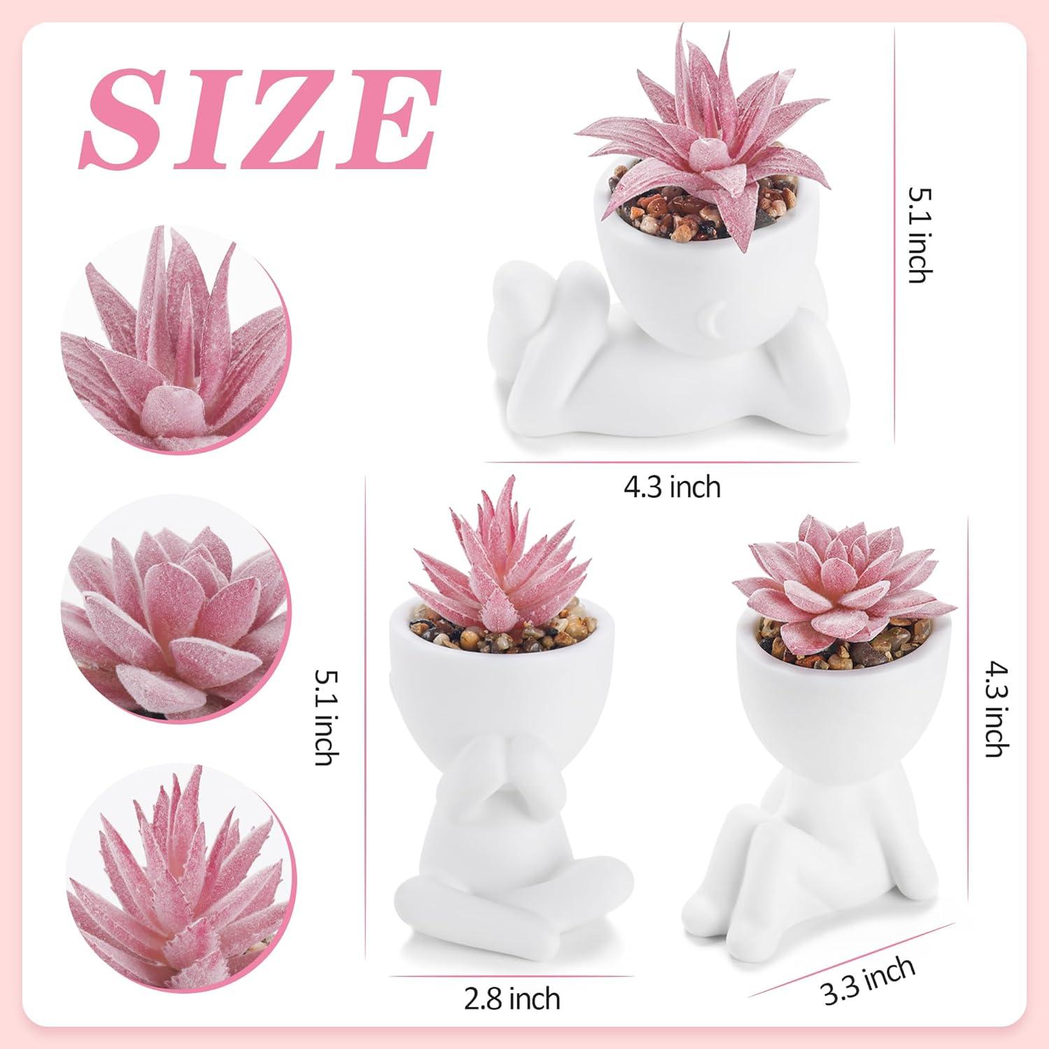 Plantas Suculentas Falsas Der Rose 3 Pcs Decoración Rosa