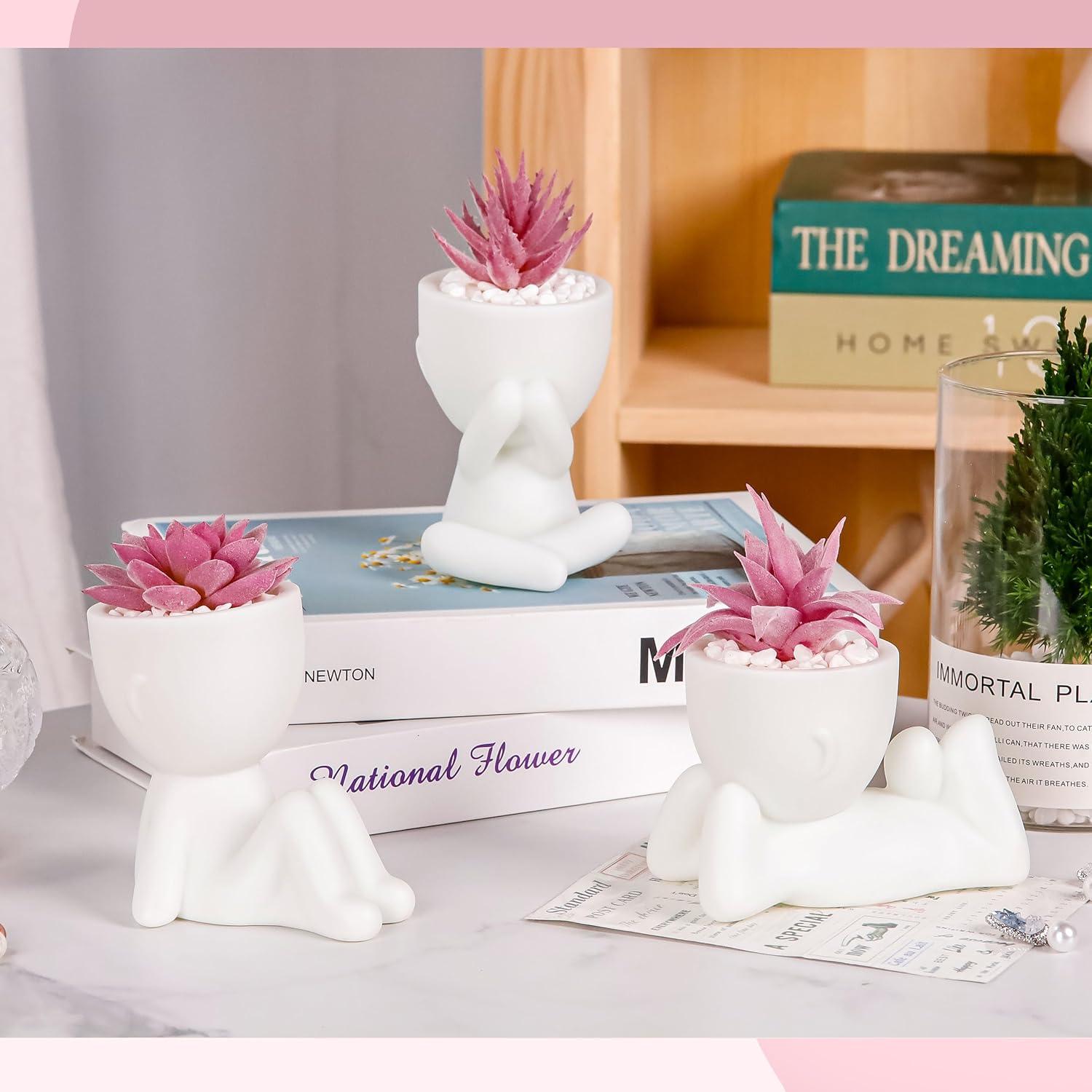 Plantas Suculentas Falsas Der Rose 3 Pcs Decoración Rosa