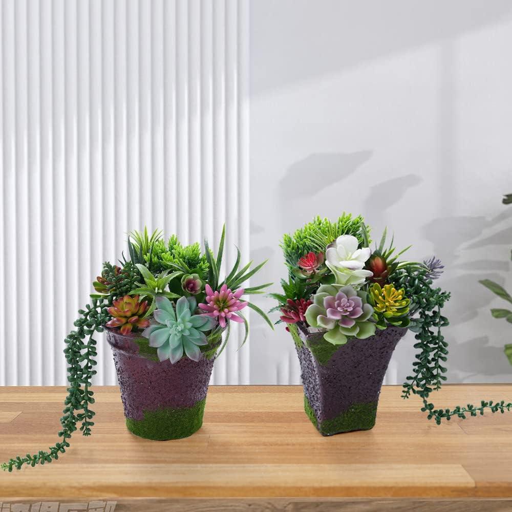 Paquete de 24 Suculentas Artificiales COTSEN para Decoración
