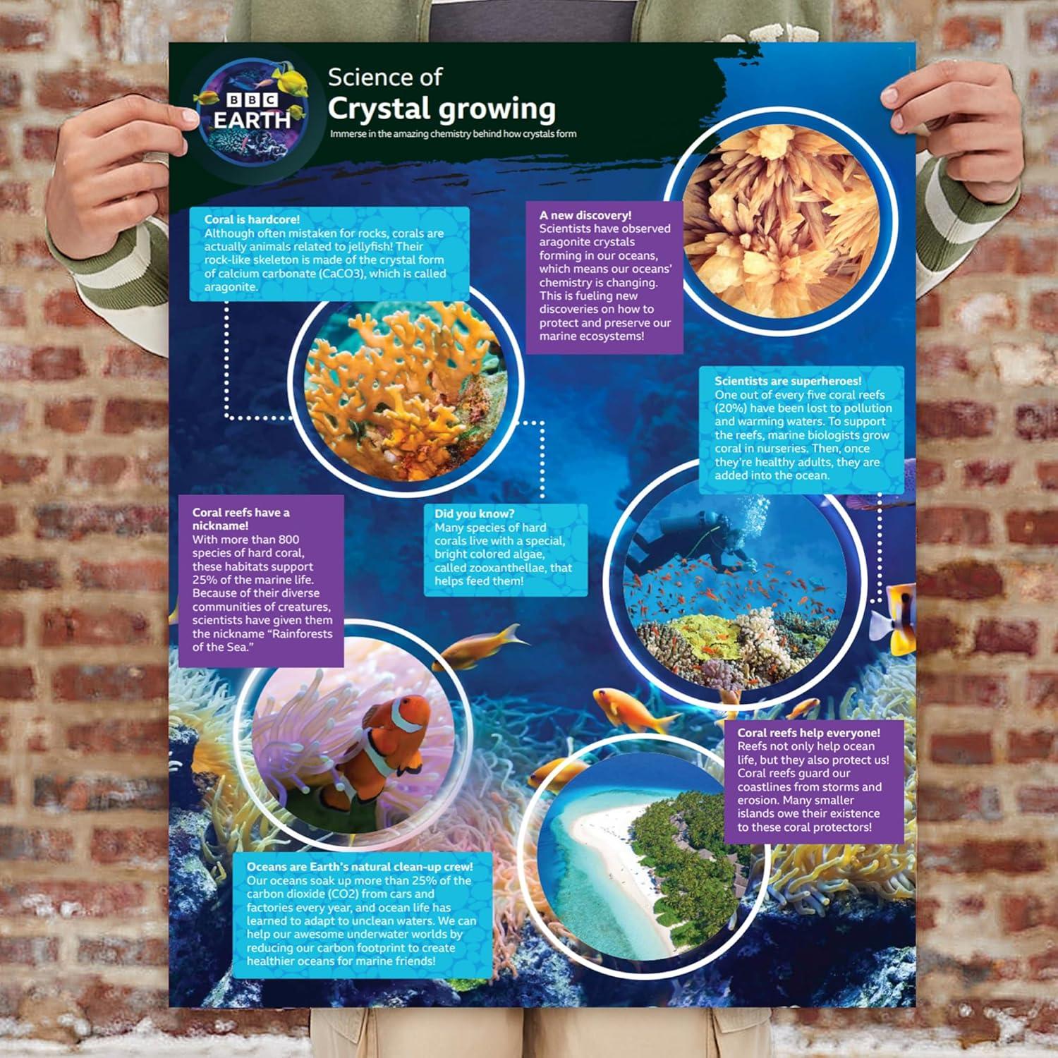 Acuario de Cristales BBC Earth - Kit STEM para Niños 6+