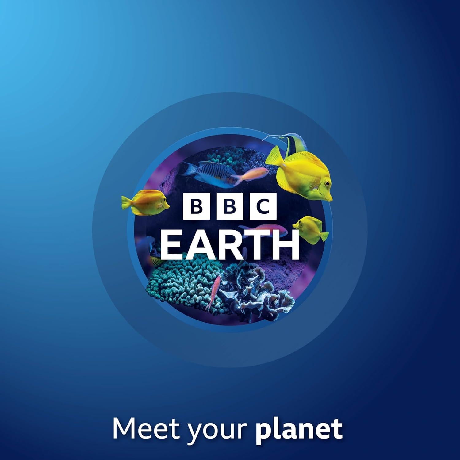 Acuario de Cristales BBC Earth - Kit STEM para Niños 6+