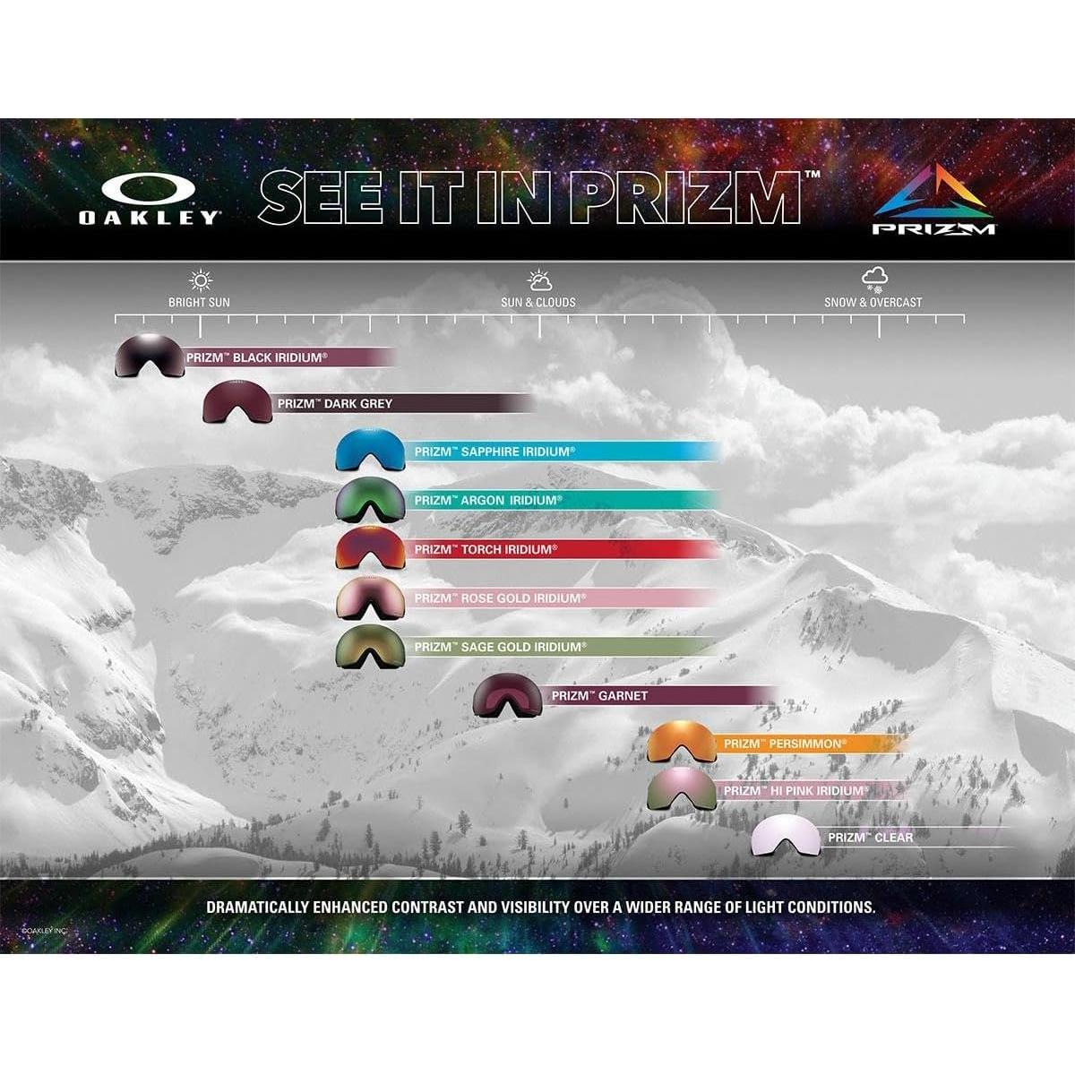 Gafas de Nieve Oakley Target Line L - Correa Negra Mate