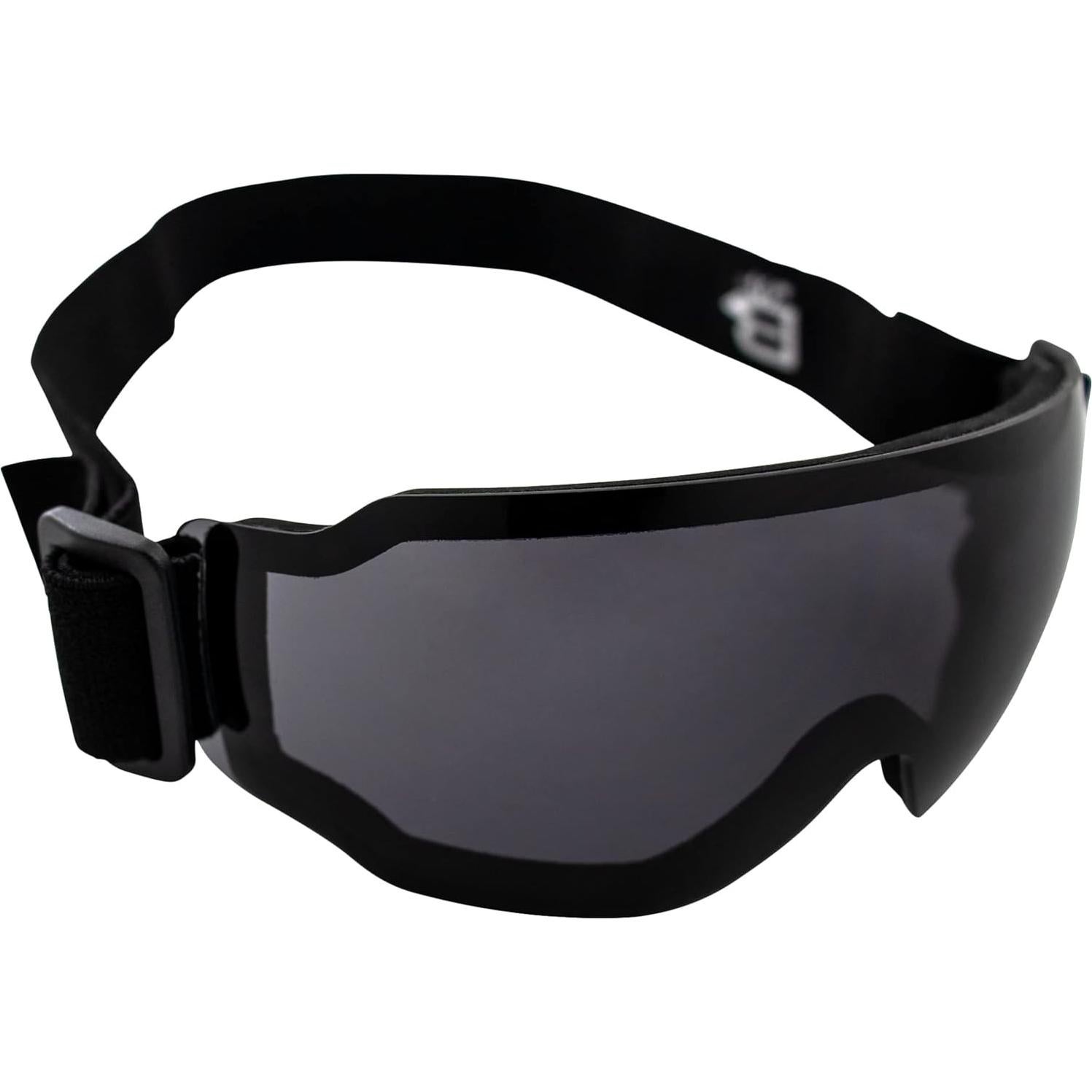 Birdz Eyewear Arch Safety Sky Diving Motorcycle Goggles for Men & Women ANSI Z78.1+ 2 Pairs Clear and Smoke Lenses