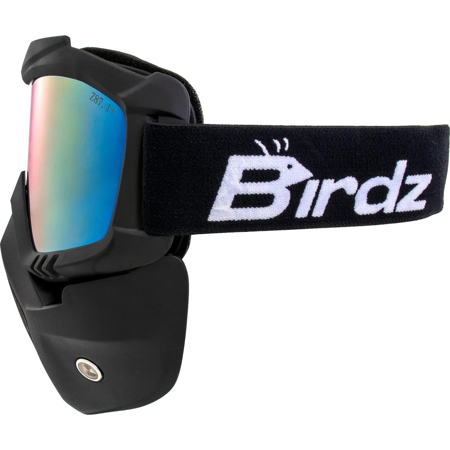 Gafas de Motocicleta Birdz Skylark con Máscara Desmontable