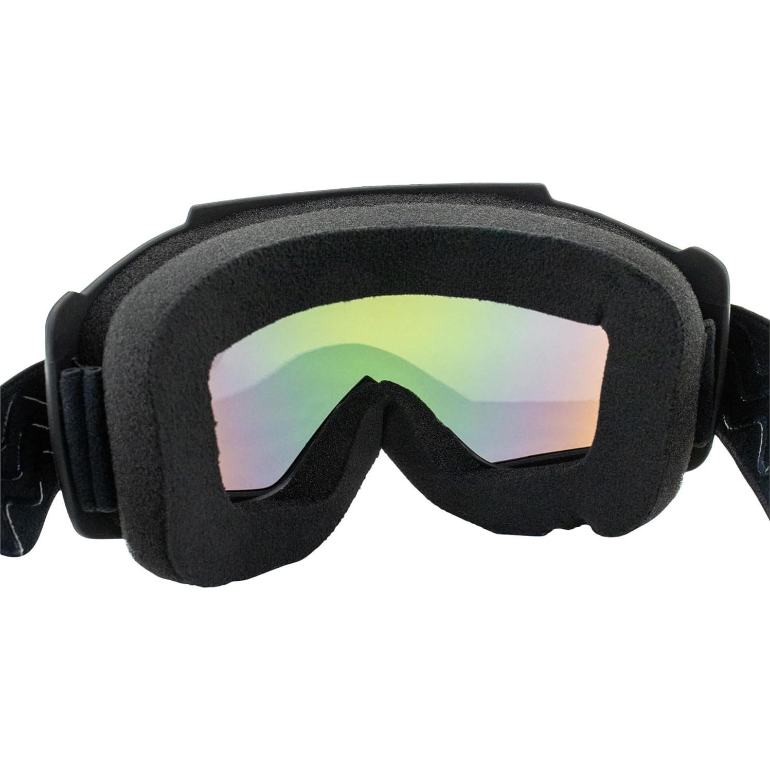 Gafas de Motocicleta Birdz Skylark con Máscara Desmontable