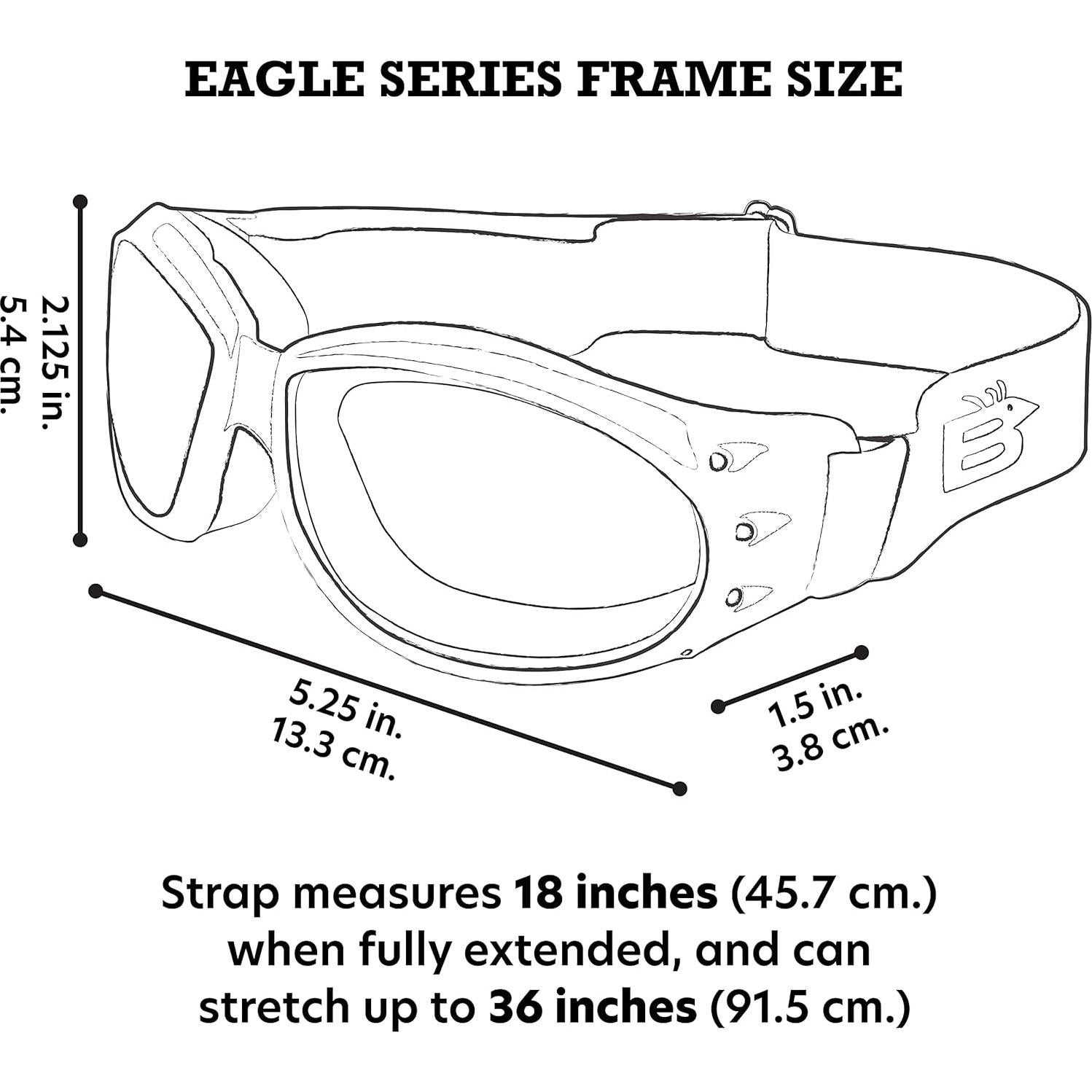 Gafas de sol Birdz Eyewear Eagle para motocicleta y airsoft