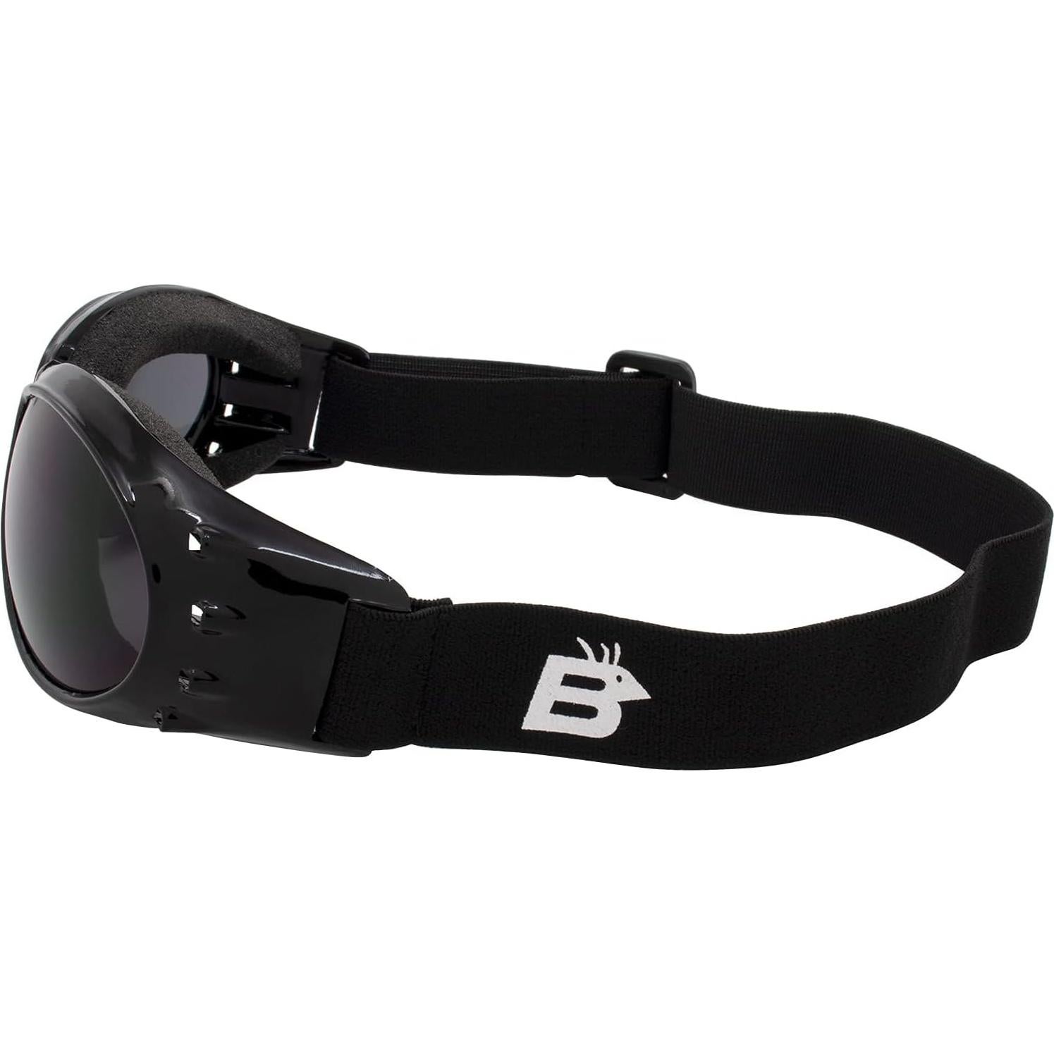 Gafas de sol Birdz Eagle Red Baron 2-Pack con lentes claros y ahumados