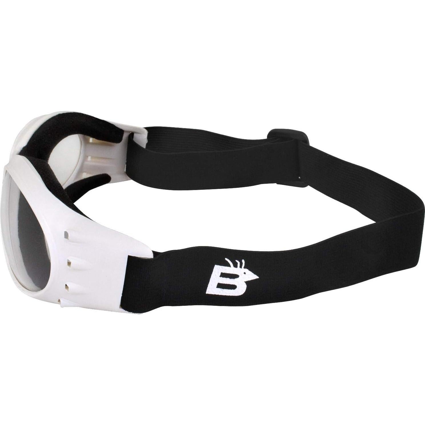 Gafas de Motocicleta Birdz Eyewear Eagle Marco Blanco Lente Clara