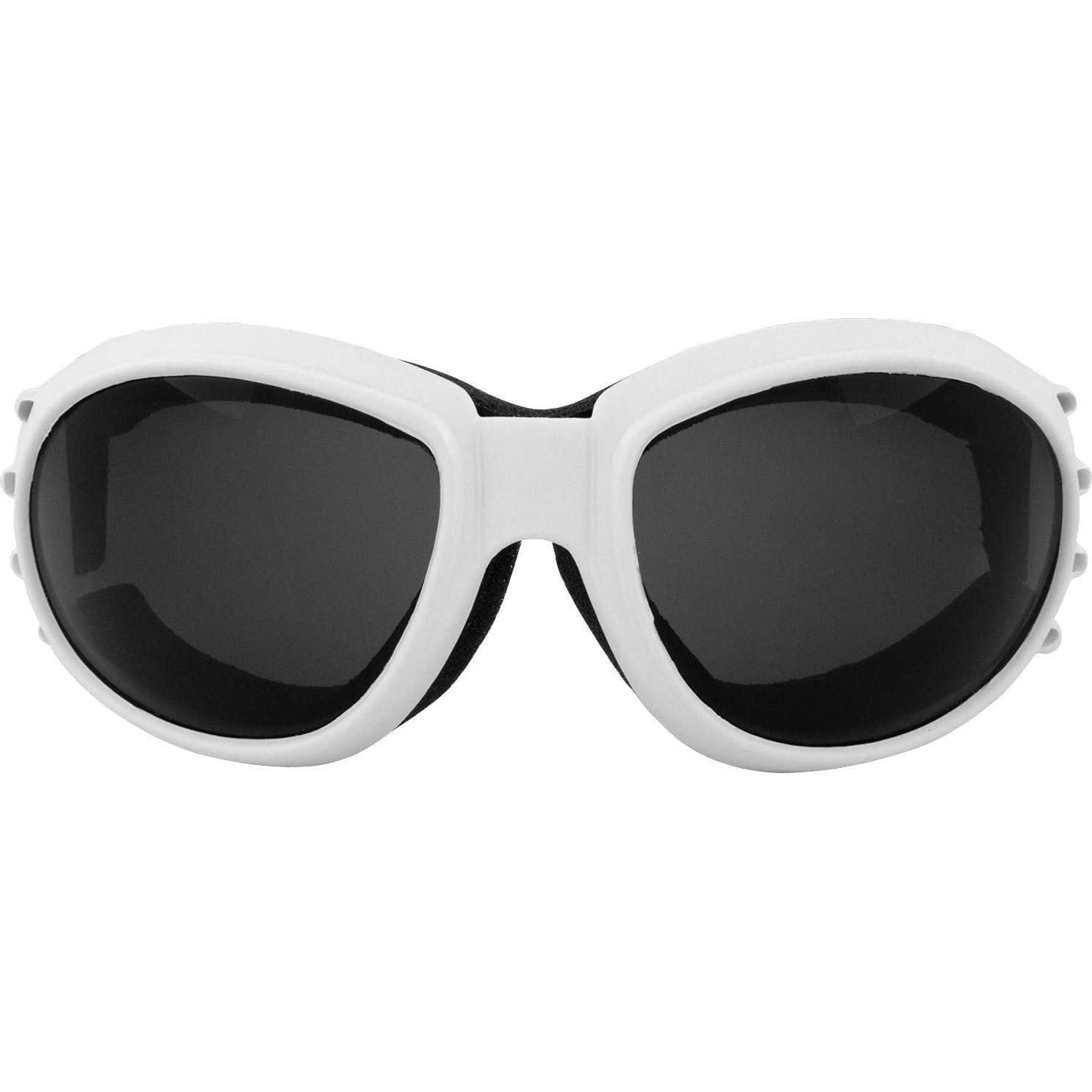 Gafas de Motocicleta Birdz Eyewear Eagle Antivaho Marco Blanco