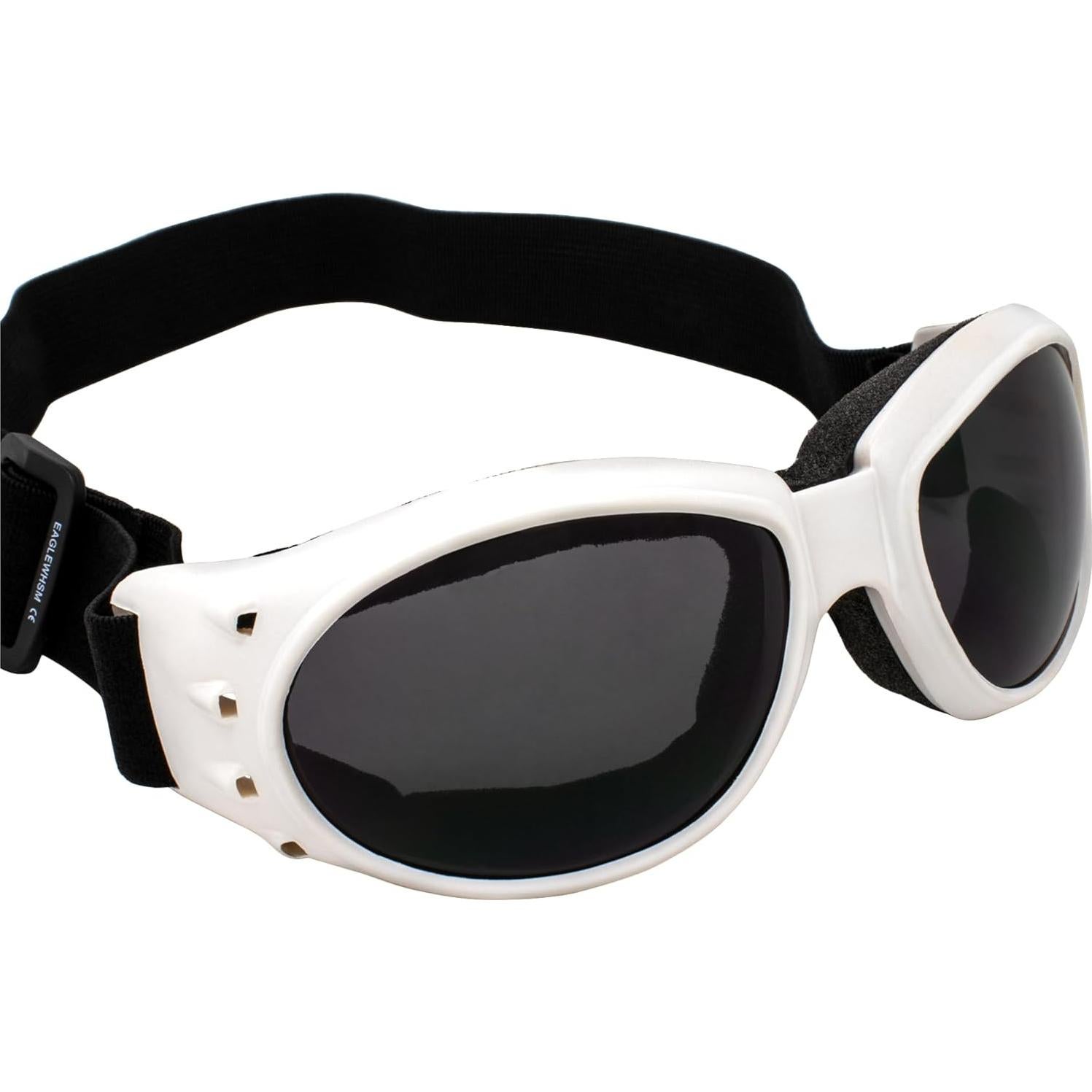 Gafas de Motocicleta Birdz Eyewear Eagle Antivaho Marco Blanco