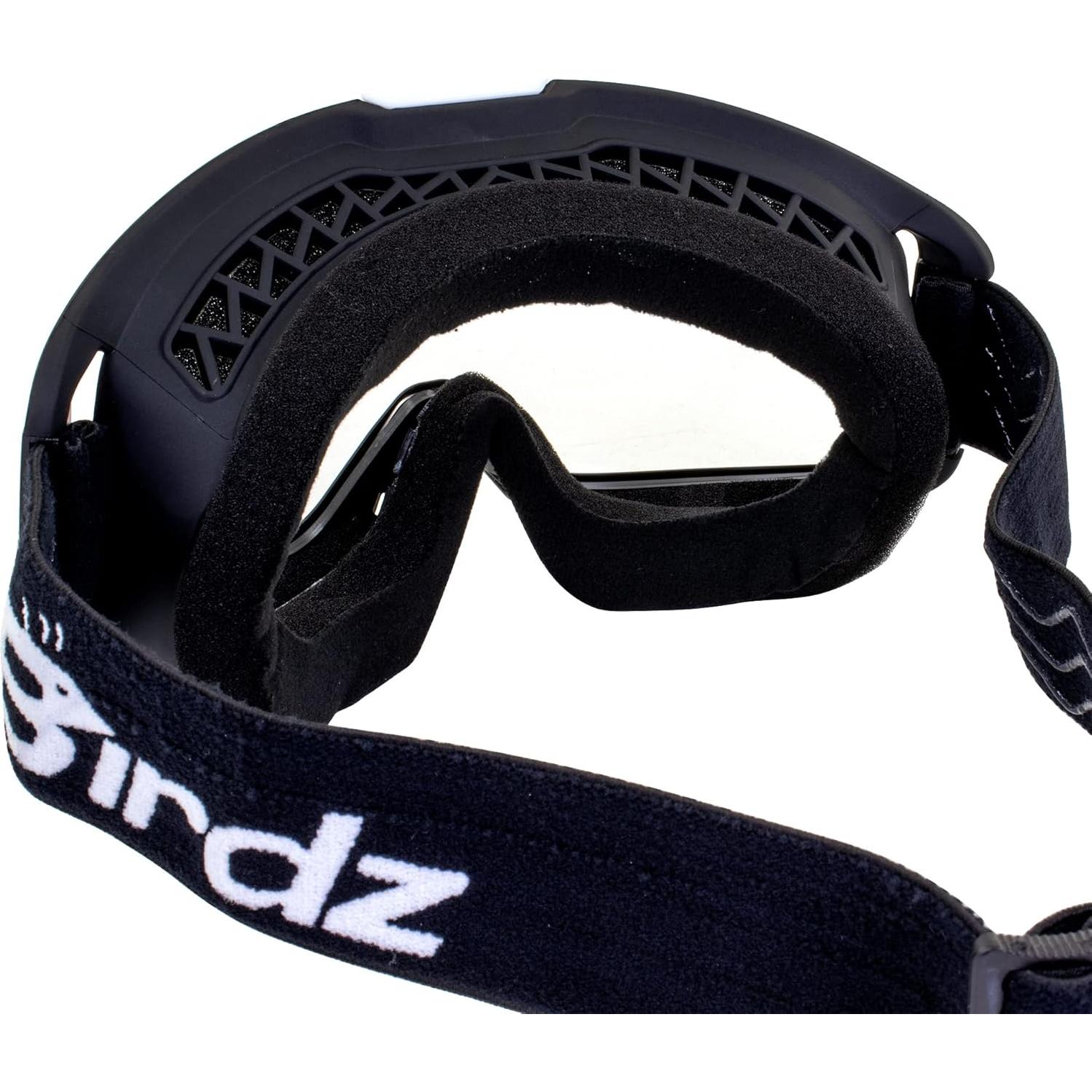 Gafas de sol Birdz Pelican para motociclismo con máscara