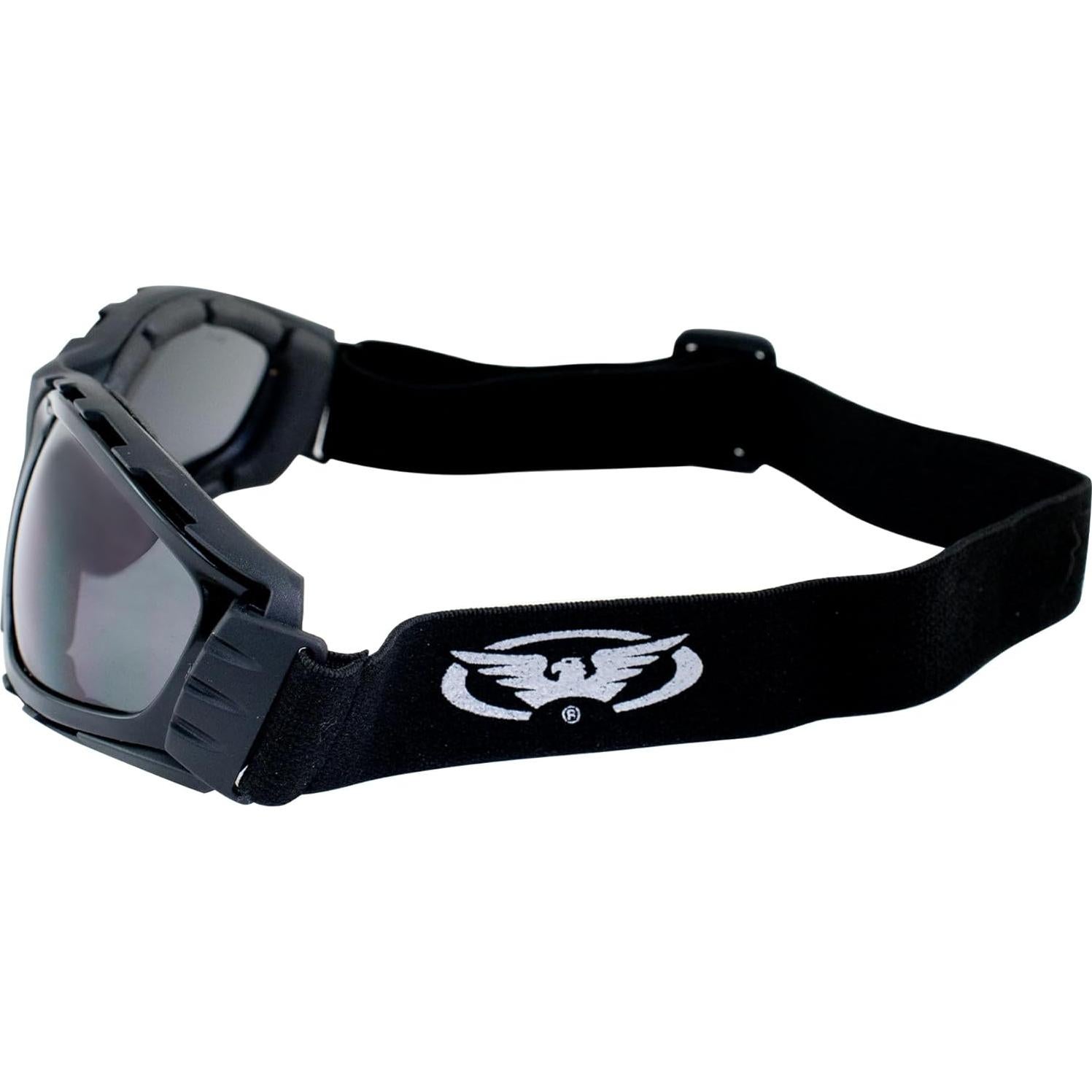 Gafas de Motocicleta de Seguridad Global Vision Trip SM