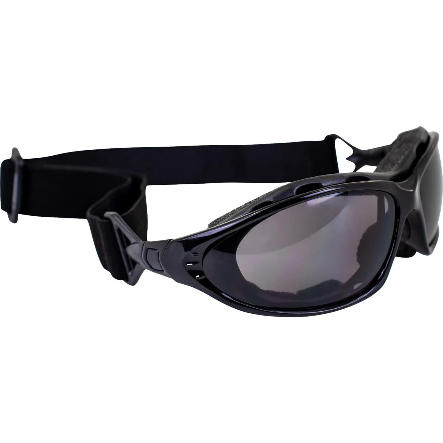 Gafas de Motocicleta Birdz Eyewear Thrasher - Lentes Ahumadas