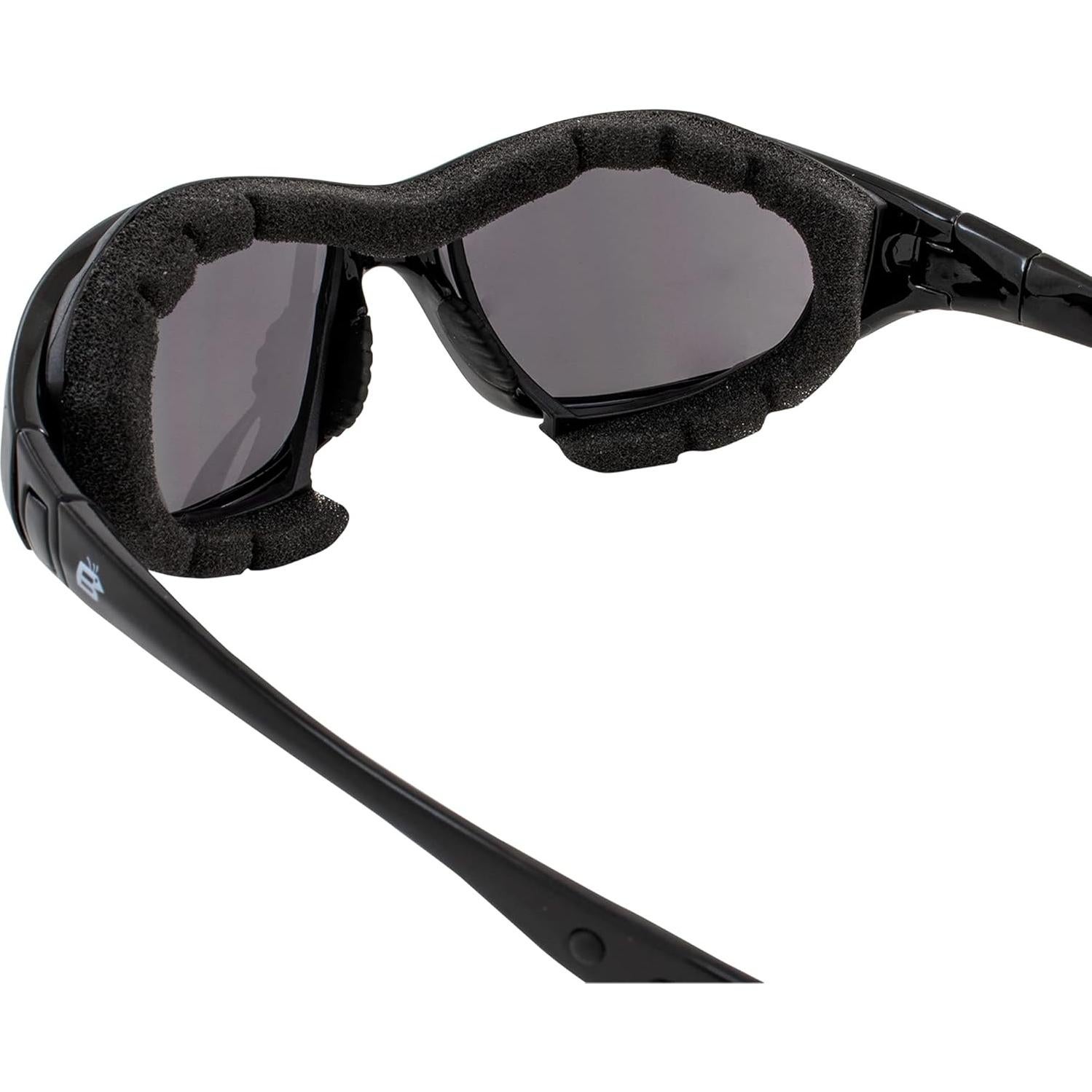 Gafas de Motocicleta Birdz Eyewear Thrasher - Lentes Ahumadas